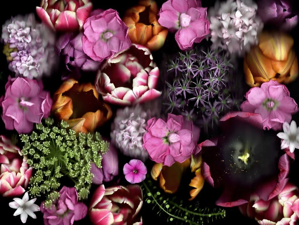 linda3 copy (Medium).jpg