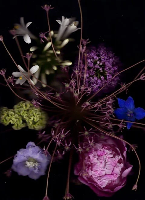 maarten4 (Small).jpg