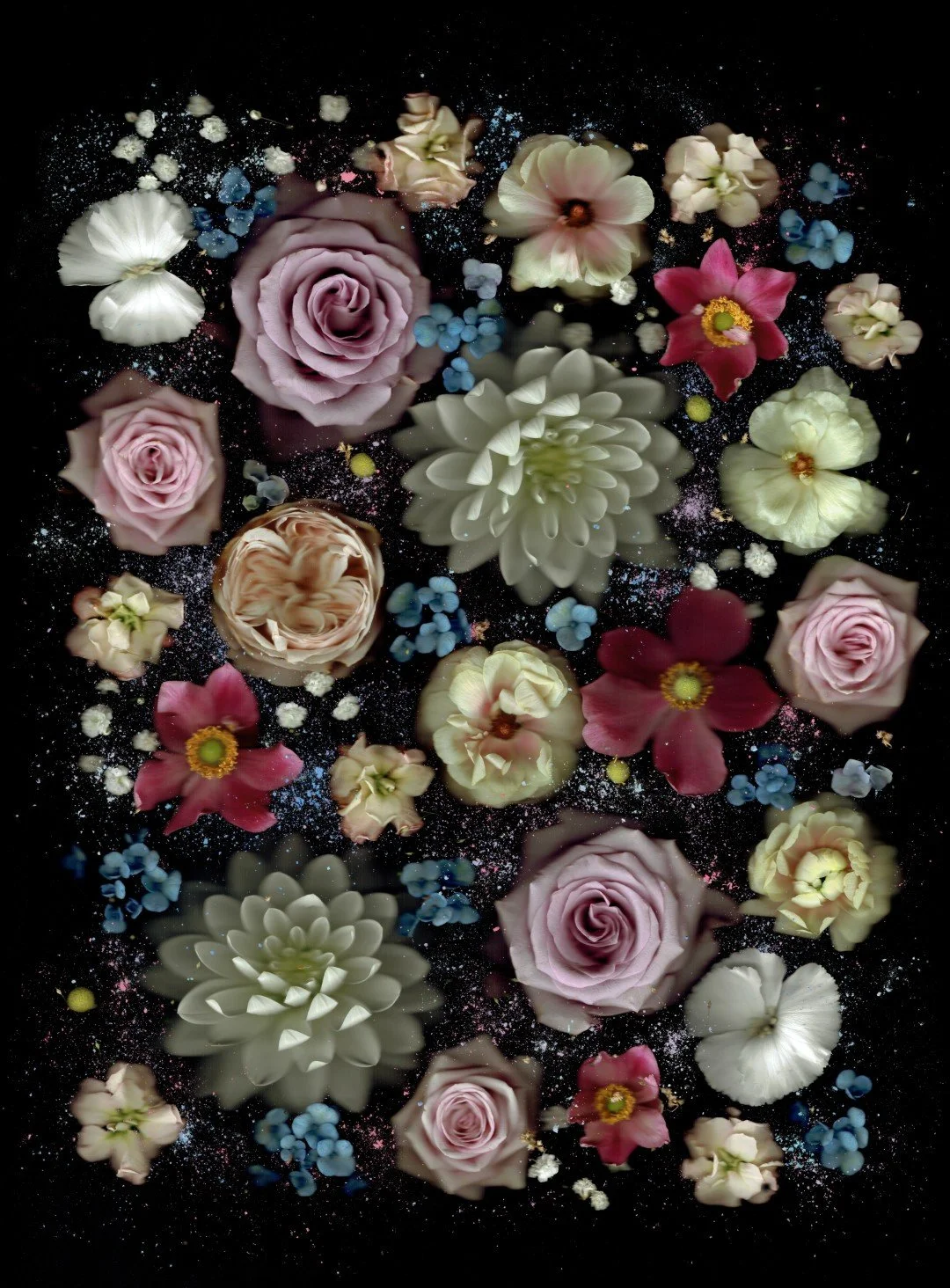 poeder (Large) (1).jpg