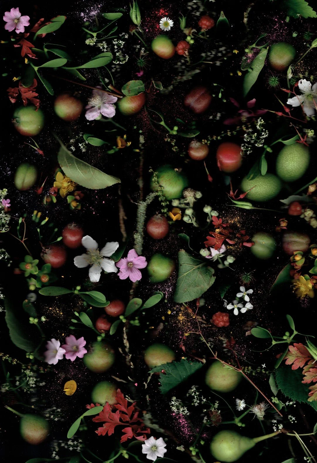 reinpoeder (Large).jpg