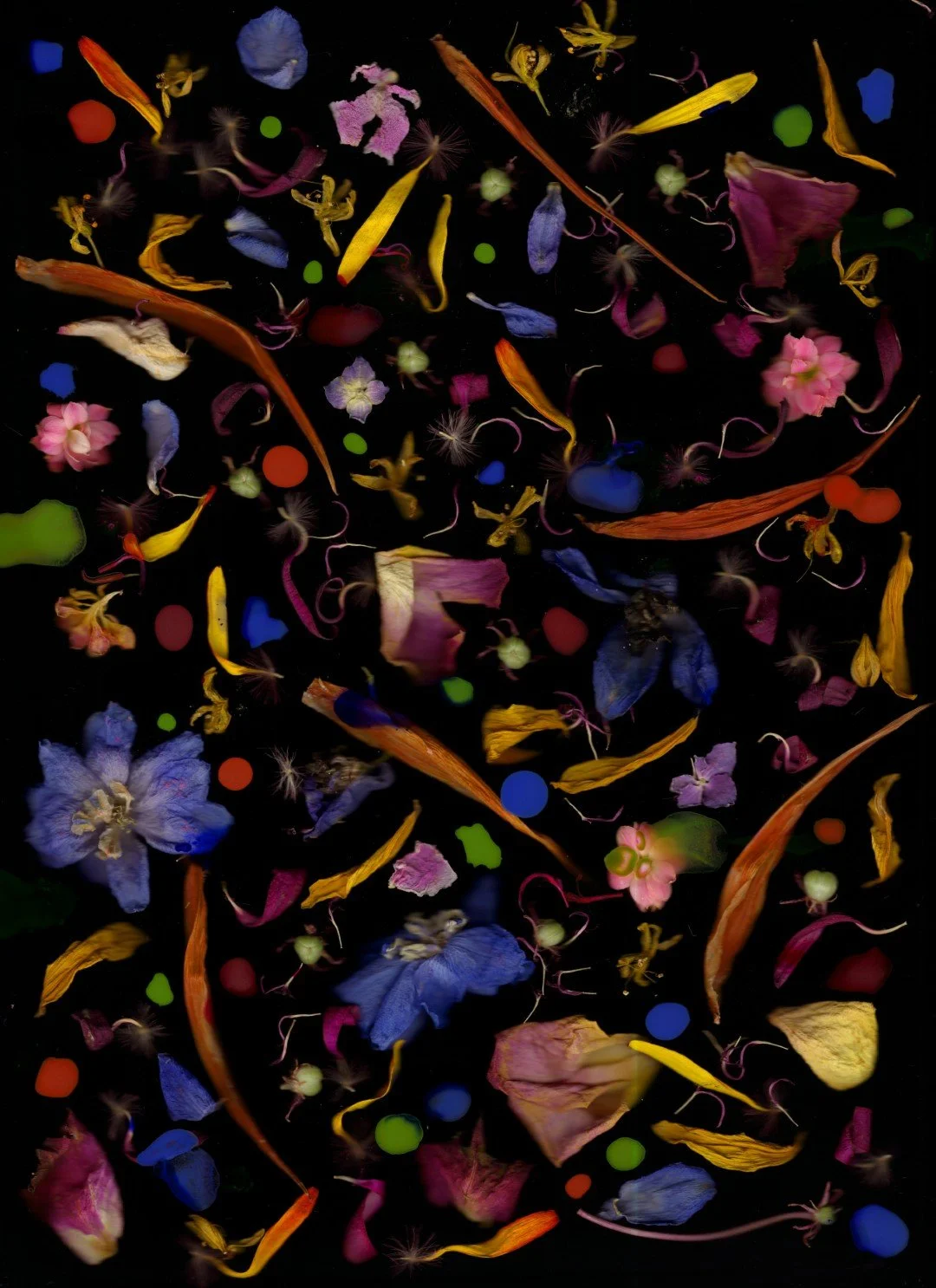 verfspetters (Large).jpg