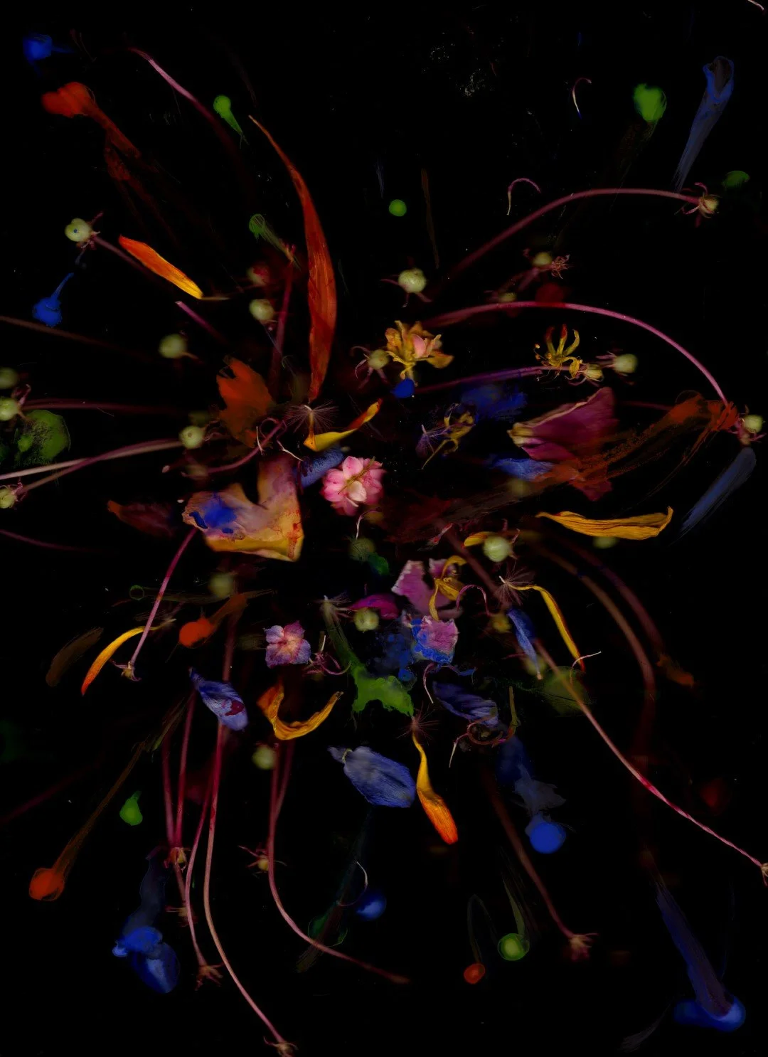 verfvuurwerk (Large).jpg