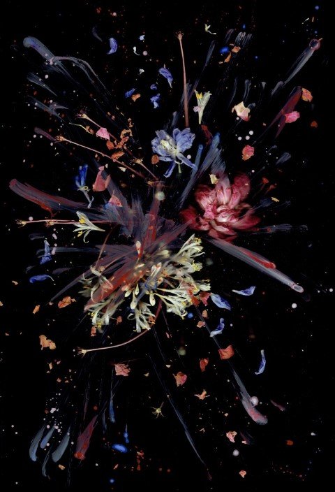 vuurwerk (Medium) (Small).jpg