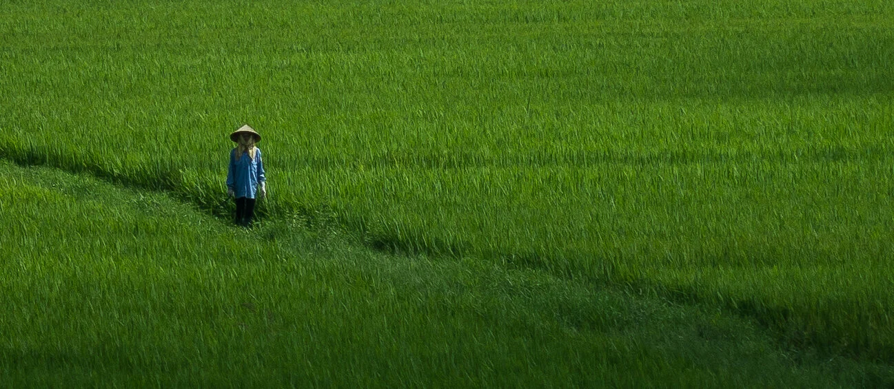 These troubled fields