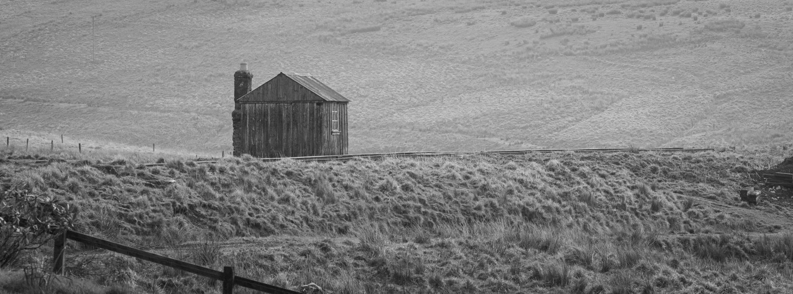 DSC_5014-3.jpg