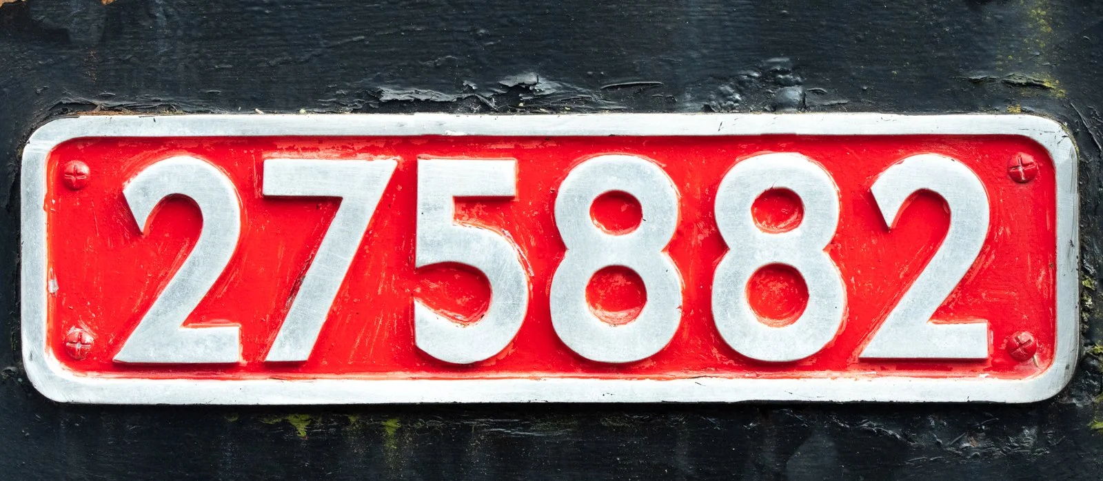 DSC_6157.jpg