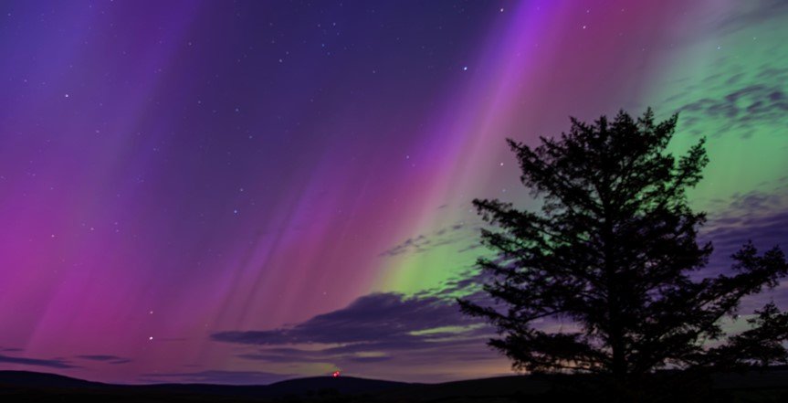 Aurora.jpg