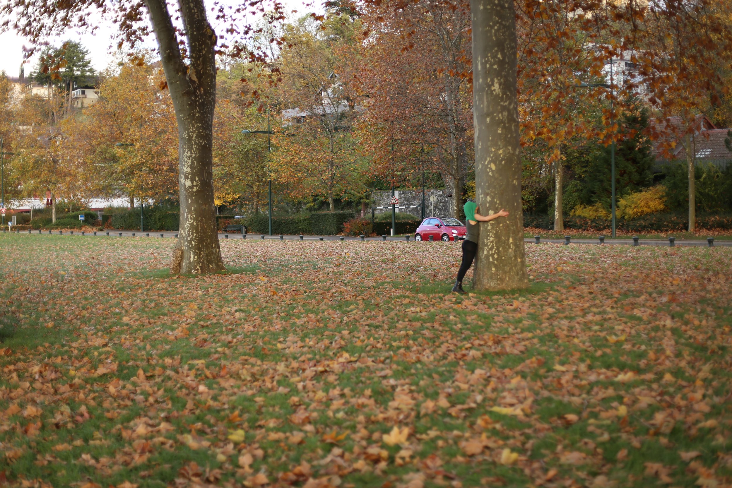 I am such... a crazy chicken