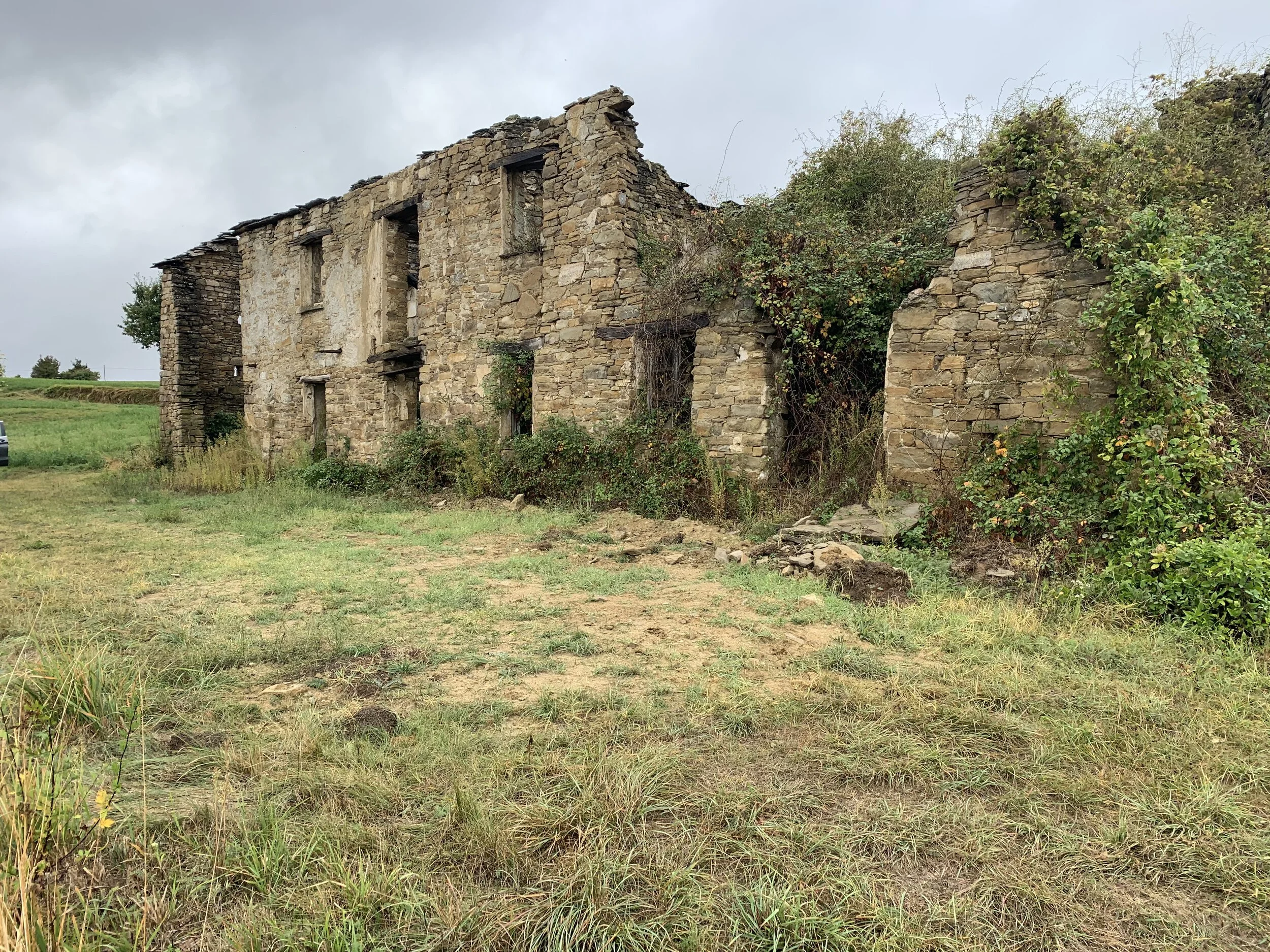 Dilapidated stone building overgrown with bushes and vegetation, situated on a grassy field under a cloudy sky.