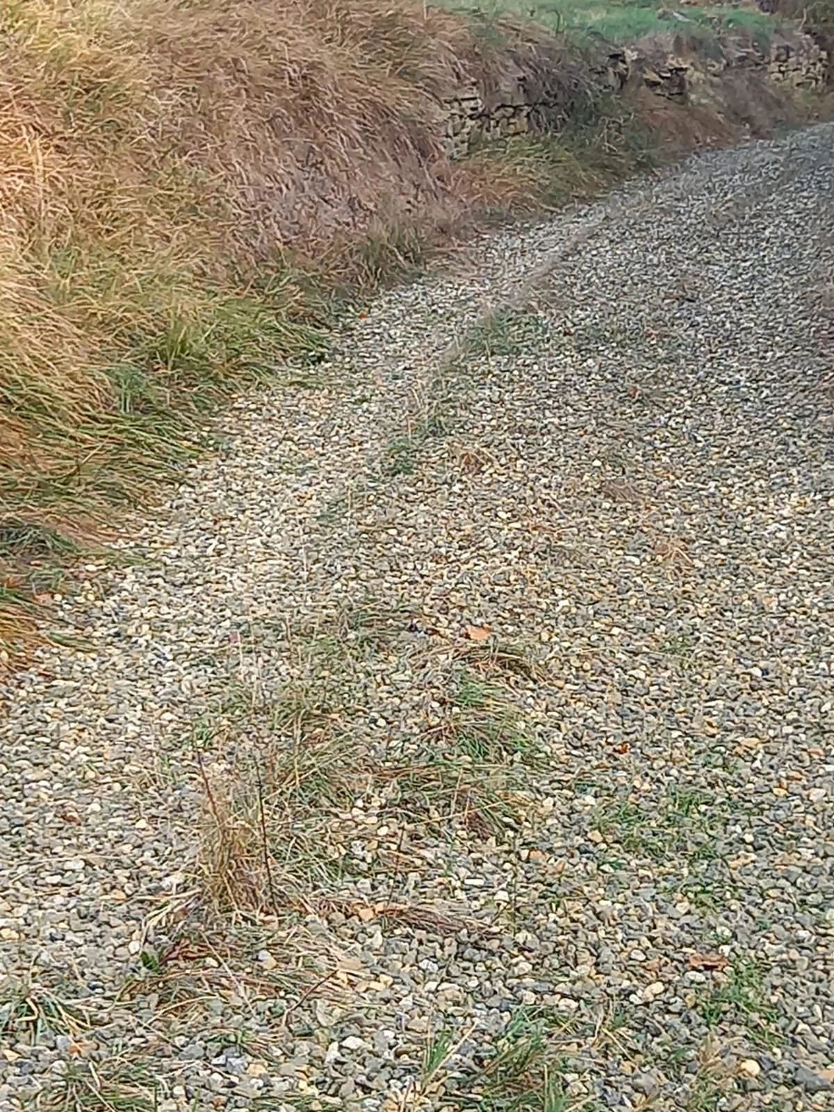 WhatsApp Image 2022-10-27 at 09.16.08.jpeg