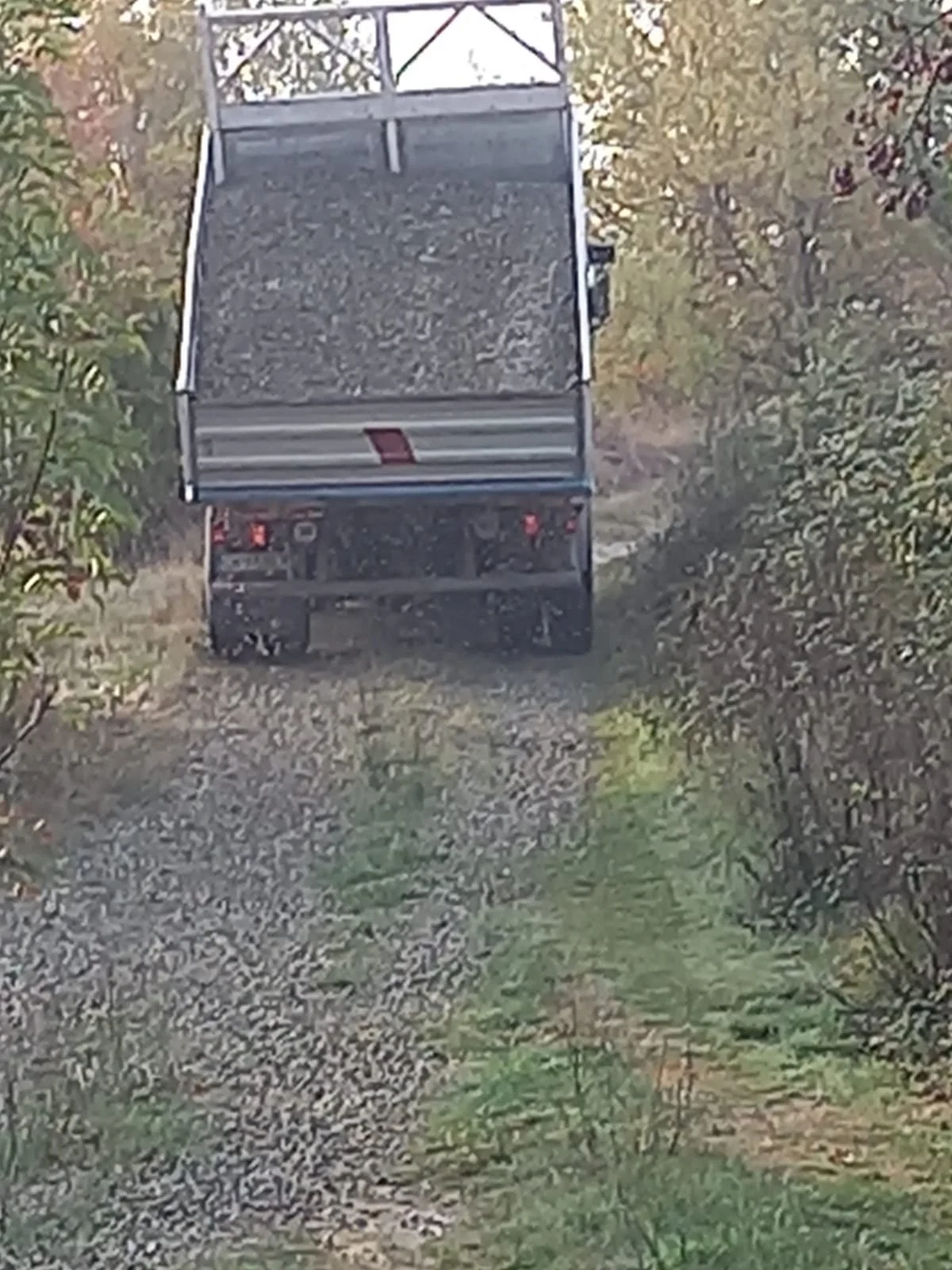 WhatsApp Image 2022-10-27 at 09.16.09.jpeg