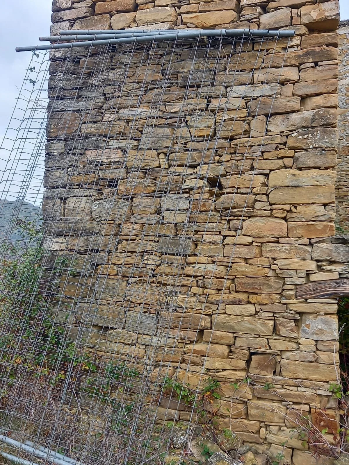 WhatsApp Image 2022-11-03 at 08.52.05.jpeg