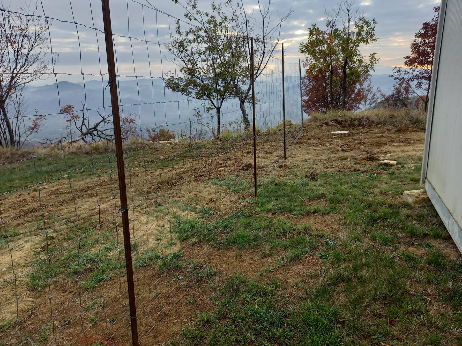 WhatsApp Image 2022-11-03 at 08.50.46.jpeg