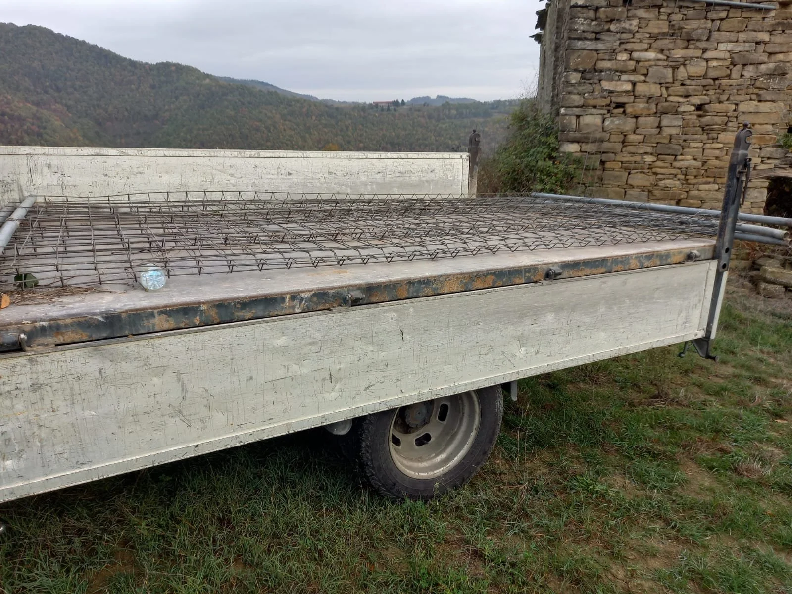 WhatsApp Image 2022-11-03 at 08.50.45.jpeg