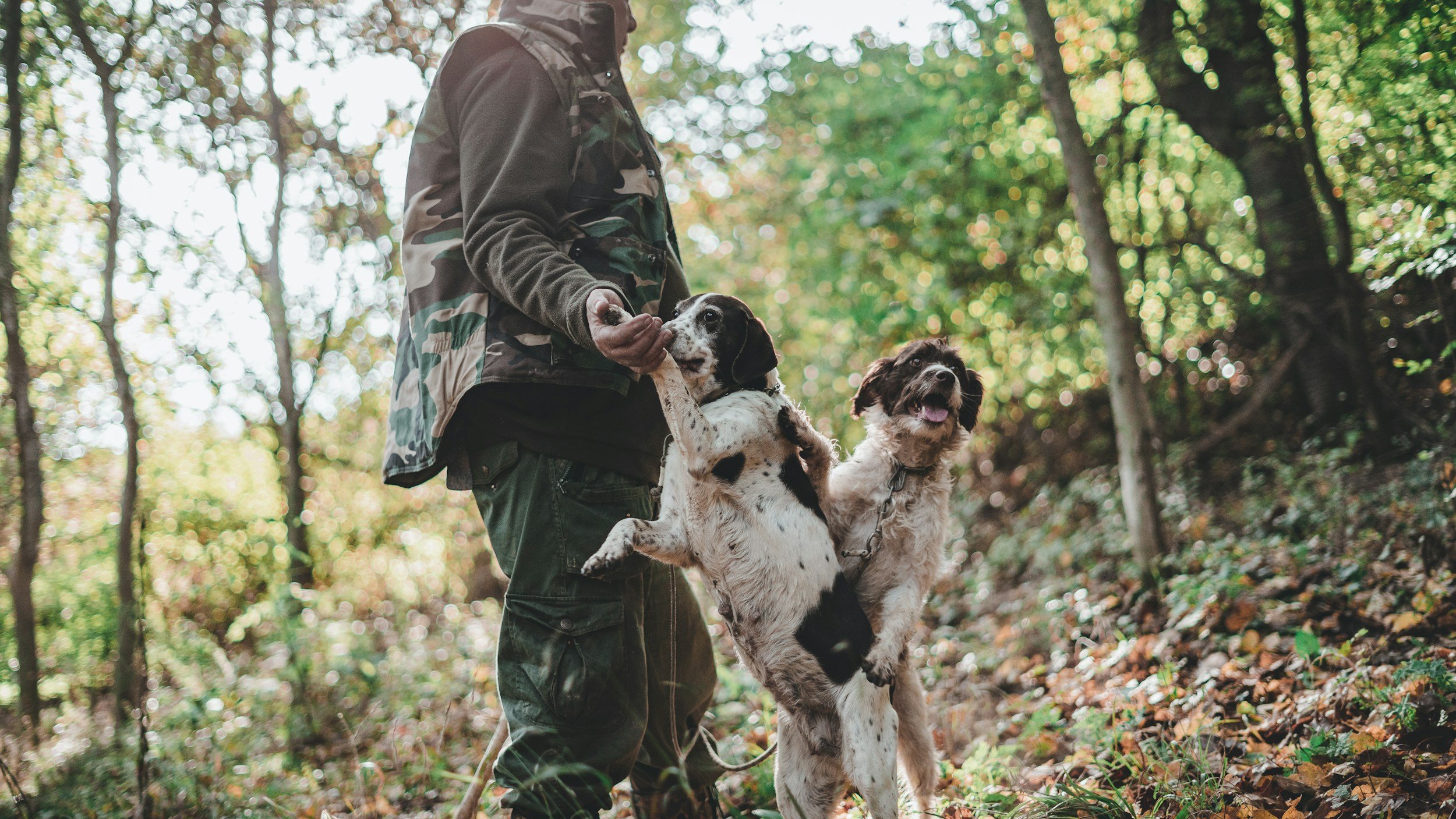 Person in camouflage jacket holding a puppy and standing next to a larger dog in a wooded outdoor setting.