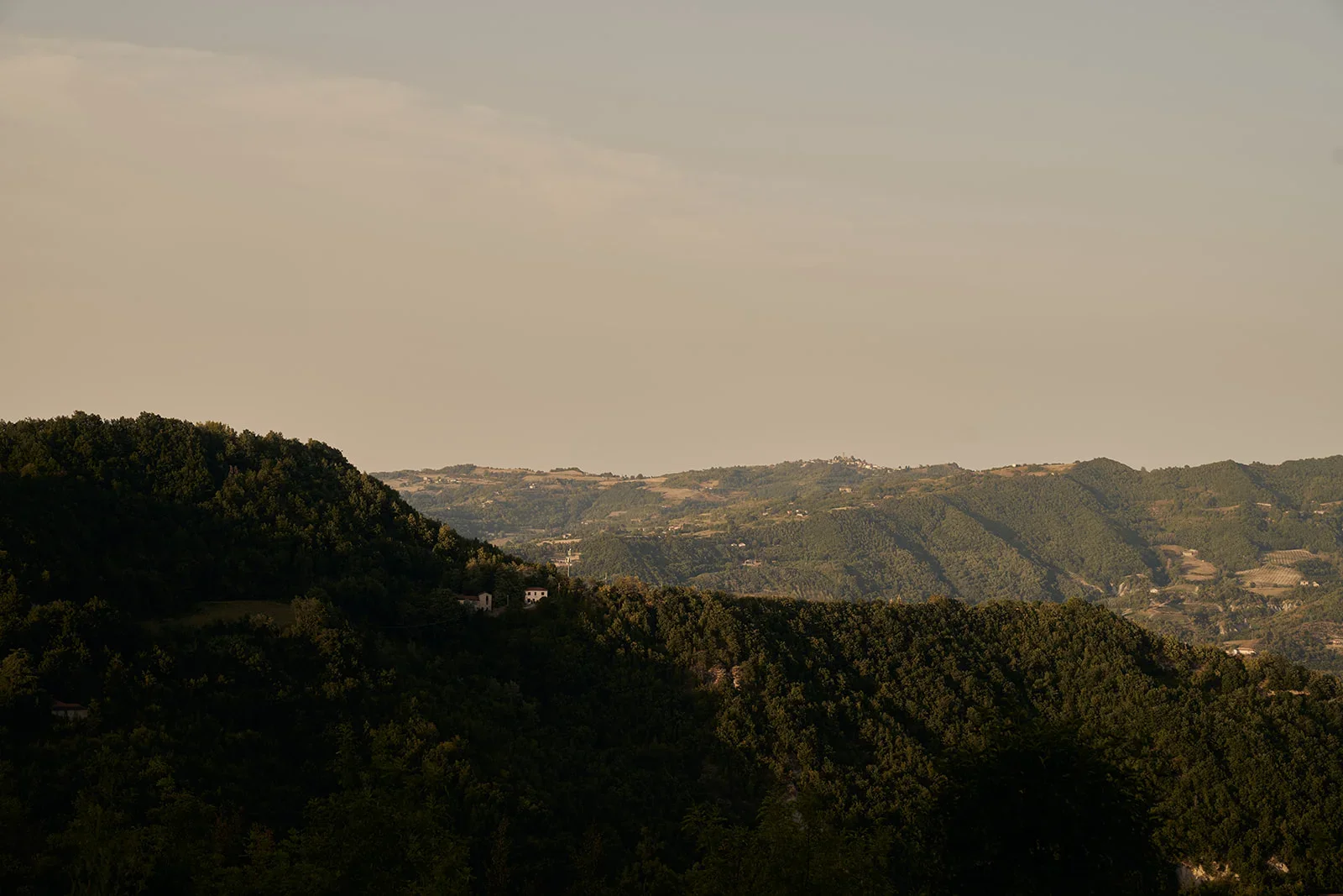 Hilly landscape with lush green trees and scattered small houses in the distance, under a light hazy sky.