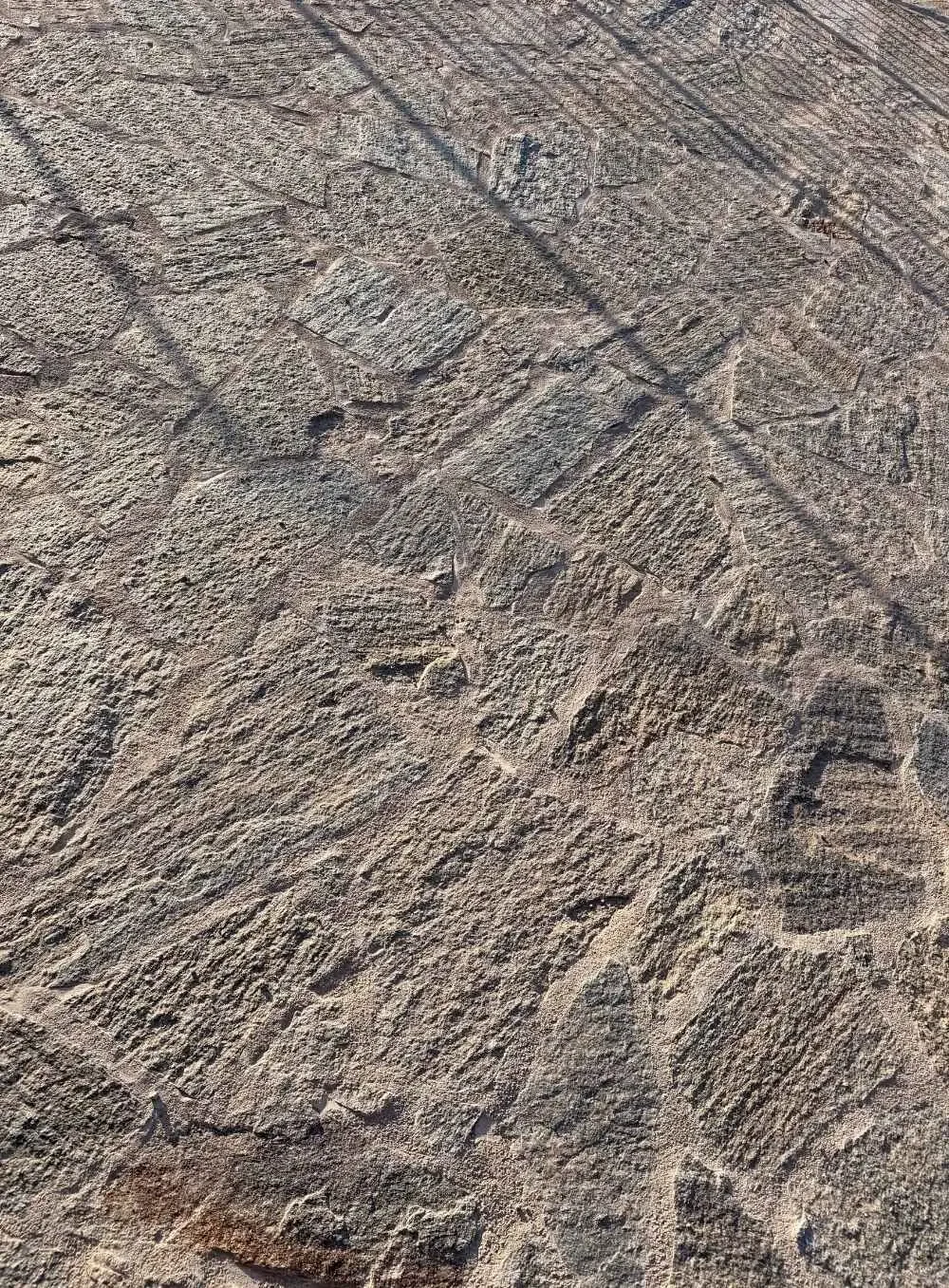 Close-up view of a textured stone surface with visible rectangular carvings and patterns.