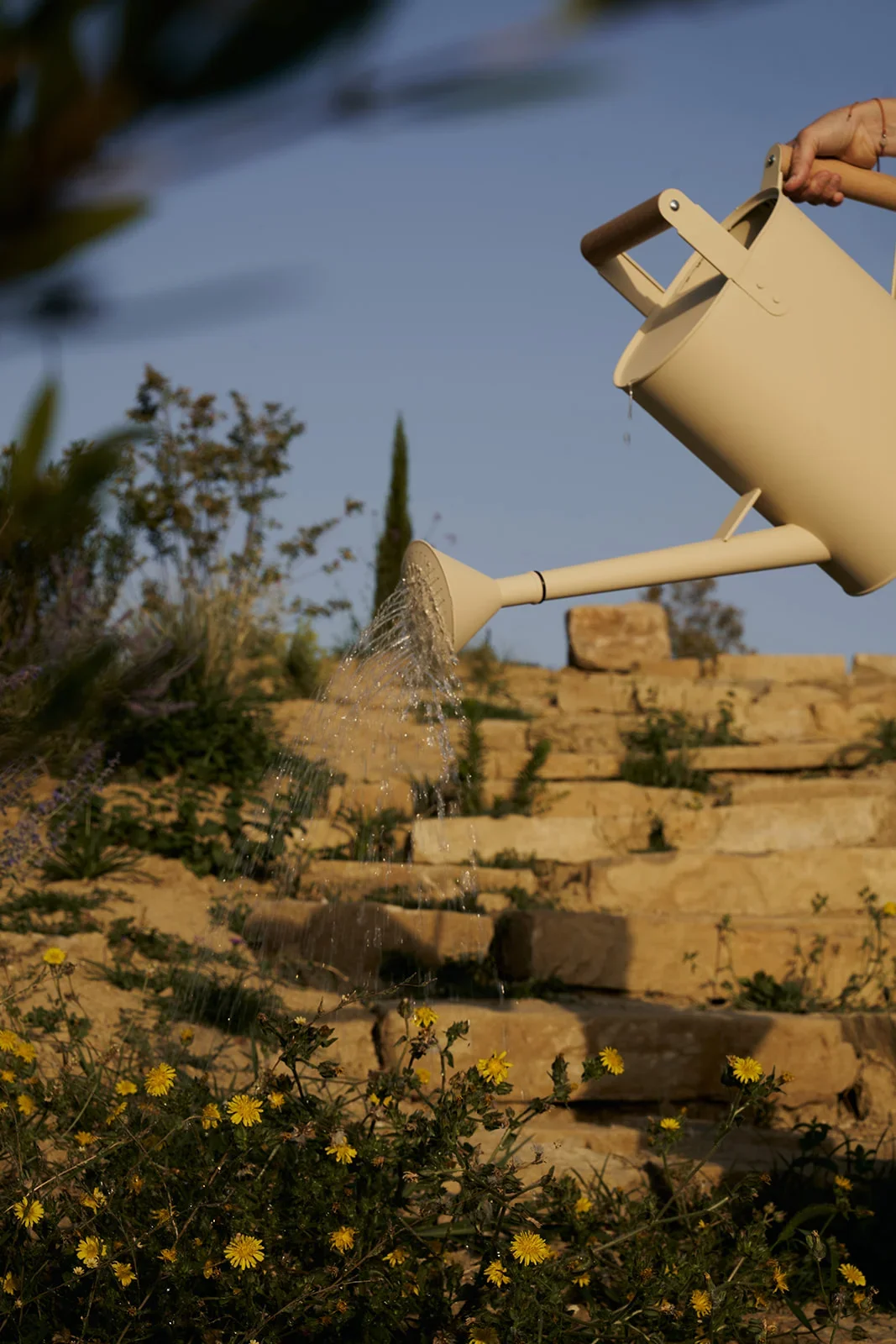 A person watering plants with a beige watering can outdoors, with yellow flowers and stone steps in the background.