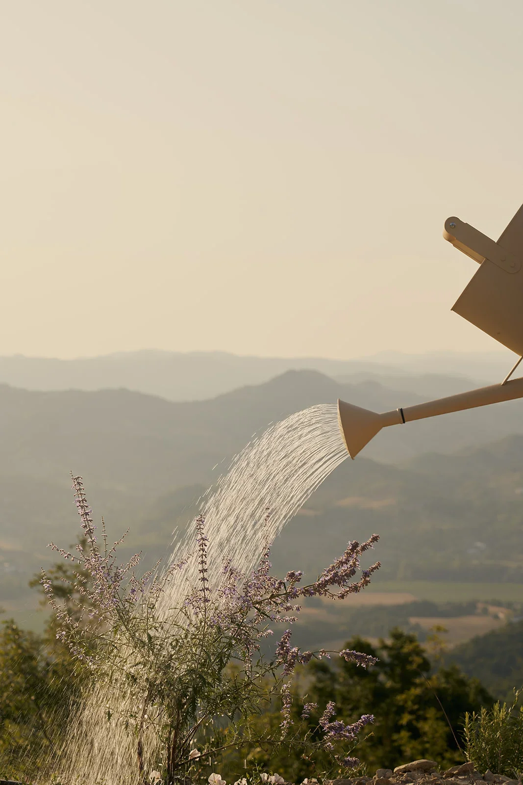 A watering can watering flowering plants in a scenic countryside with mountains in the background.