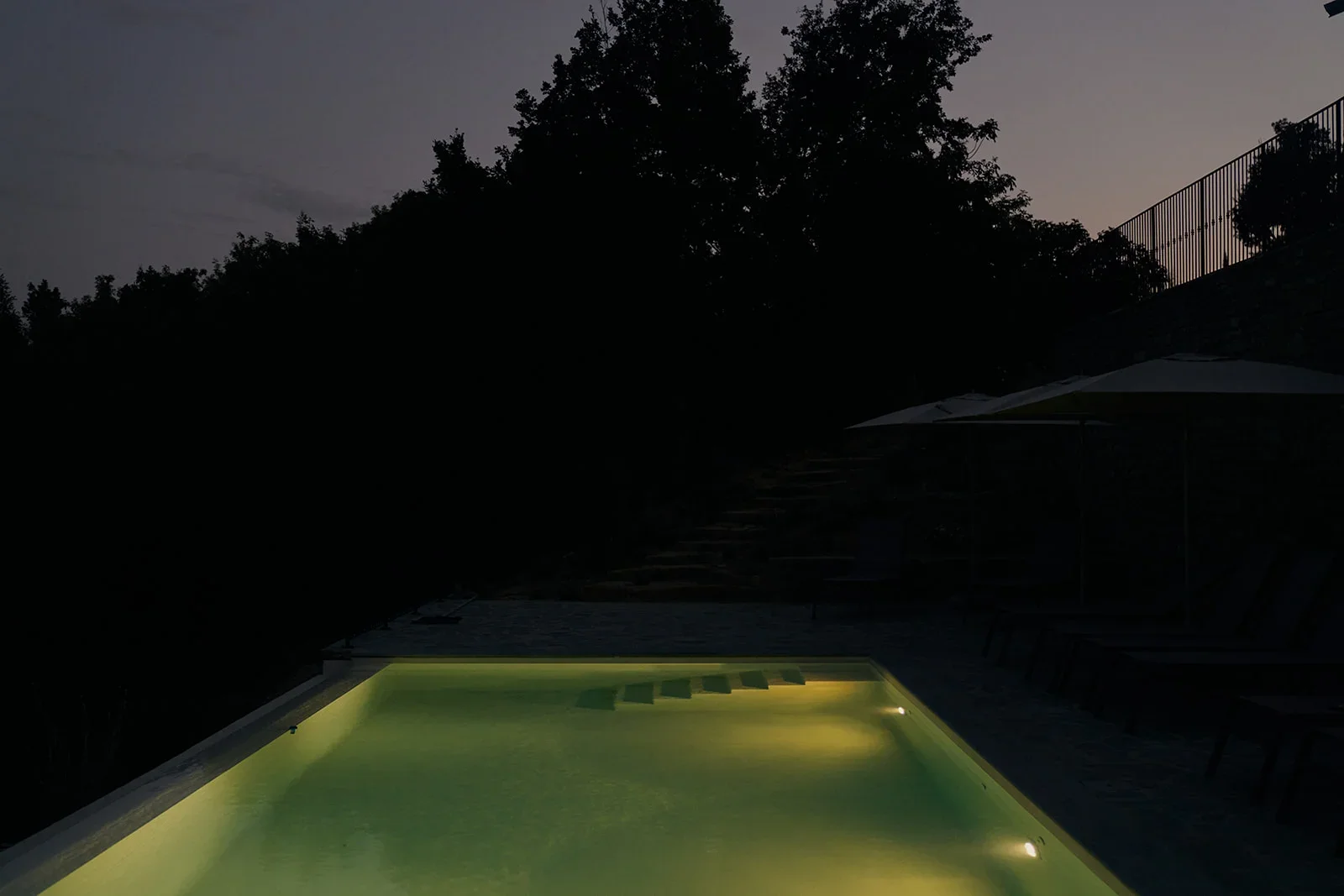 Swimming pool illuminated at night with a dark sky and trees in the background.
