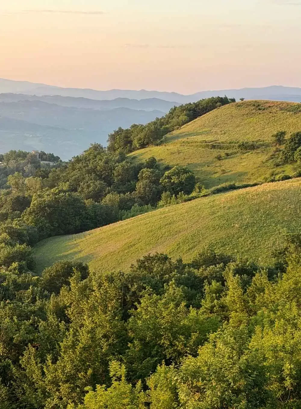 Scenic view of green rolling hills and clusters of trees, with distant mountain ranges in the background at sunset.