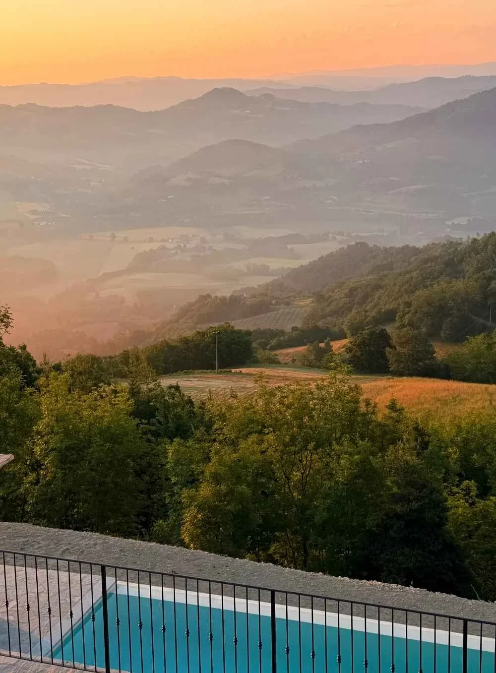 Golden-light-morning-2.webp