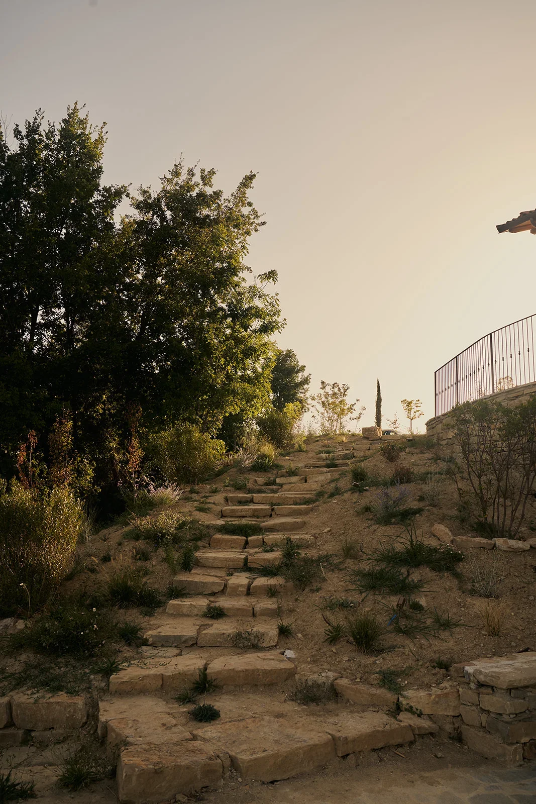 Stone pathway stairs ascending a hillside with sparse vegetation, trees, and a metal fence on the right, under a clear sky.