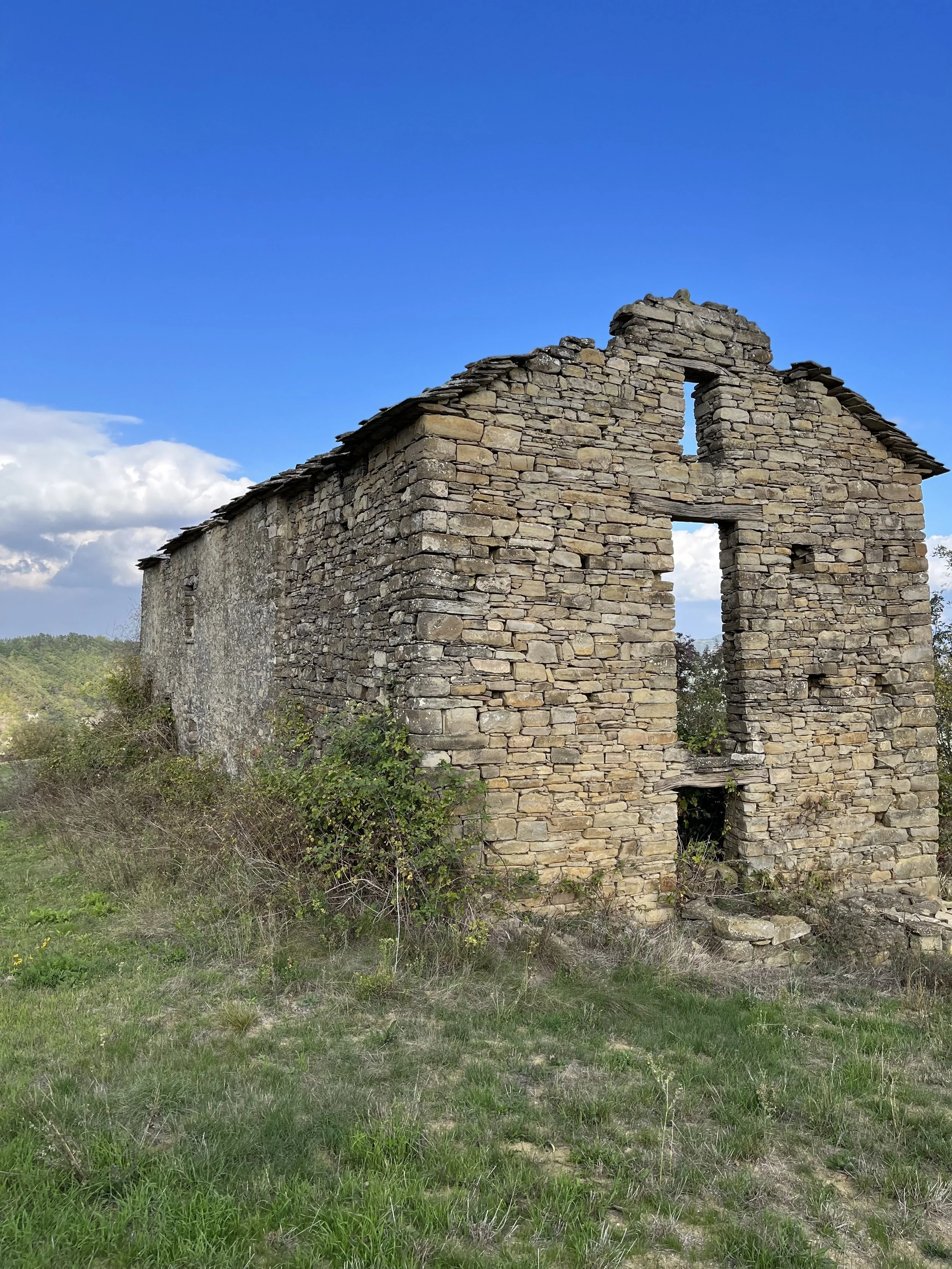 The old ruin