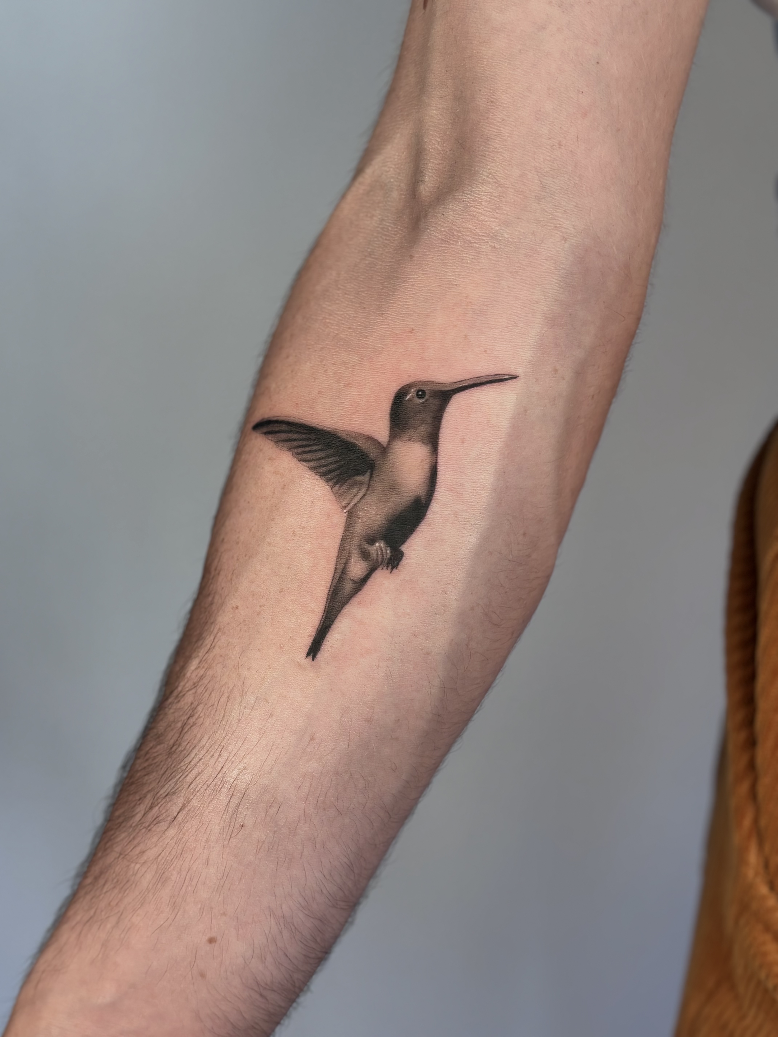 Emily Roth Arts, LLC. 