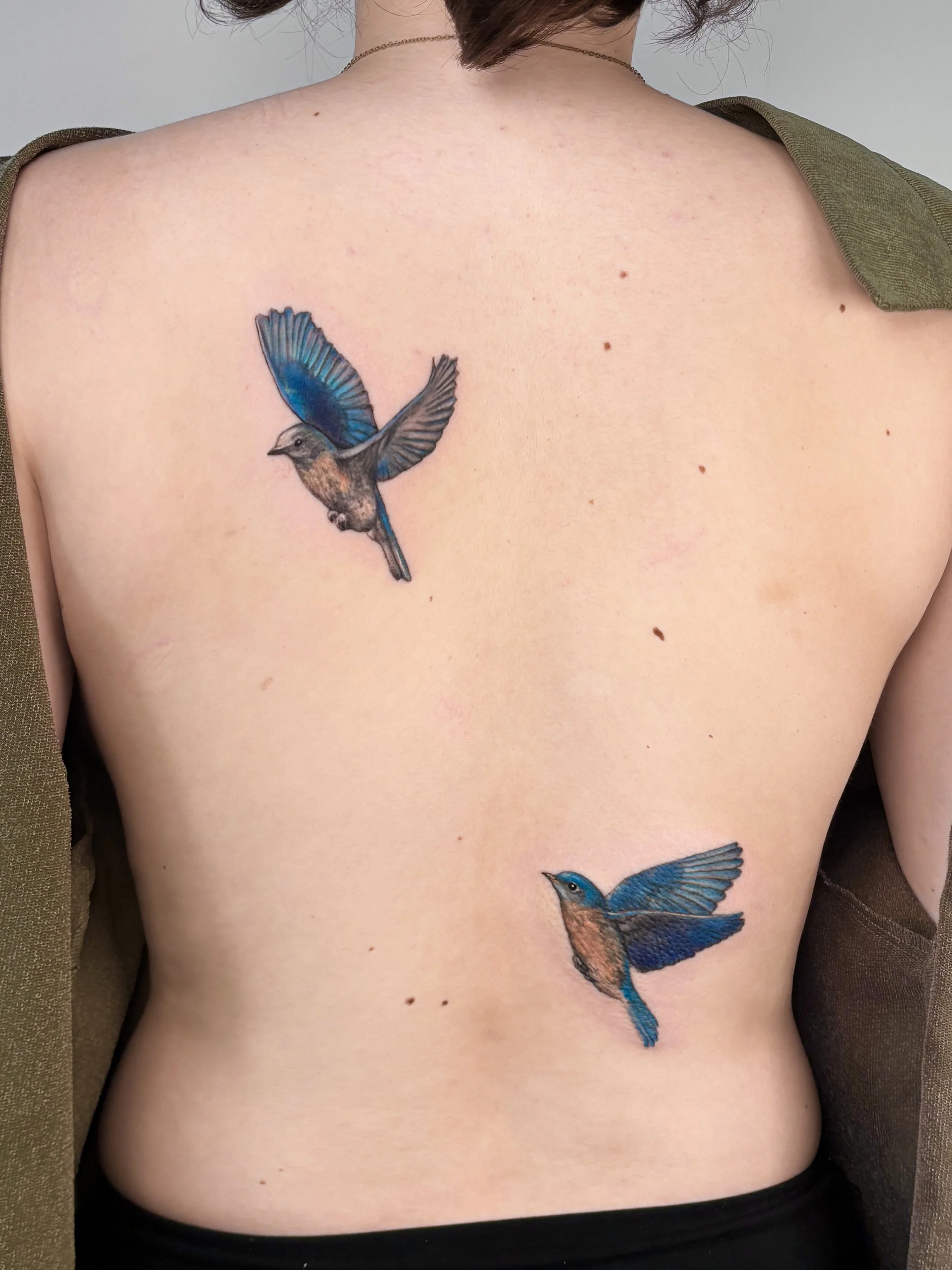 Emily Roth Arts, LLC.