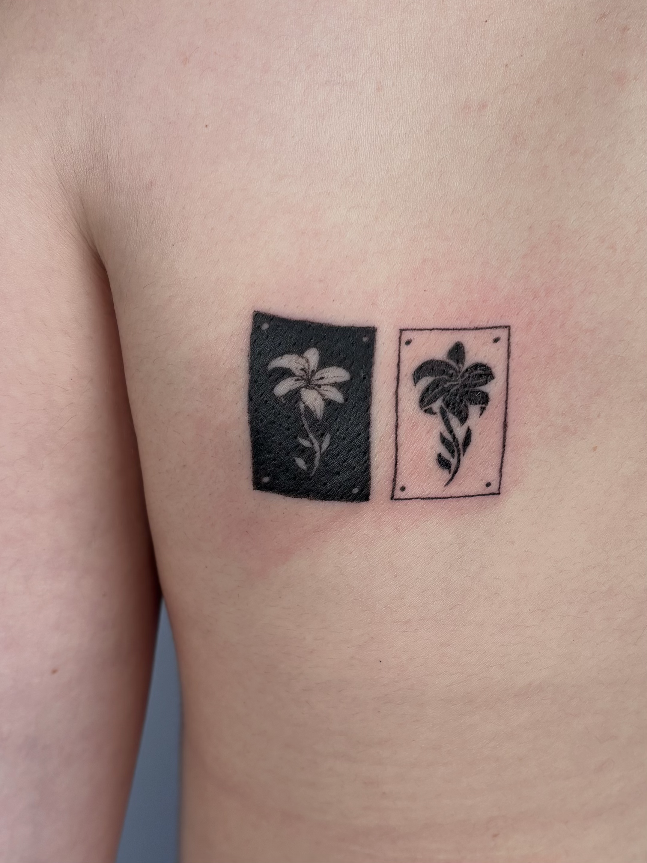 Emily Roth Arts, LLC