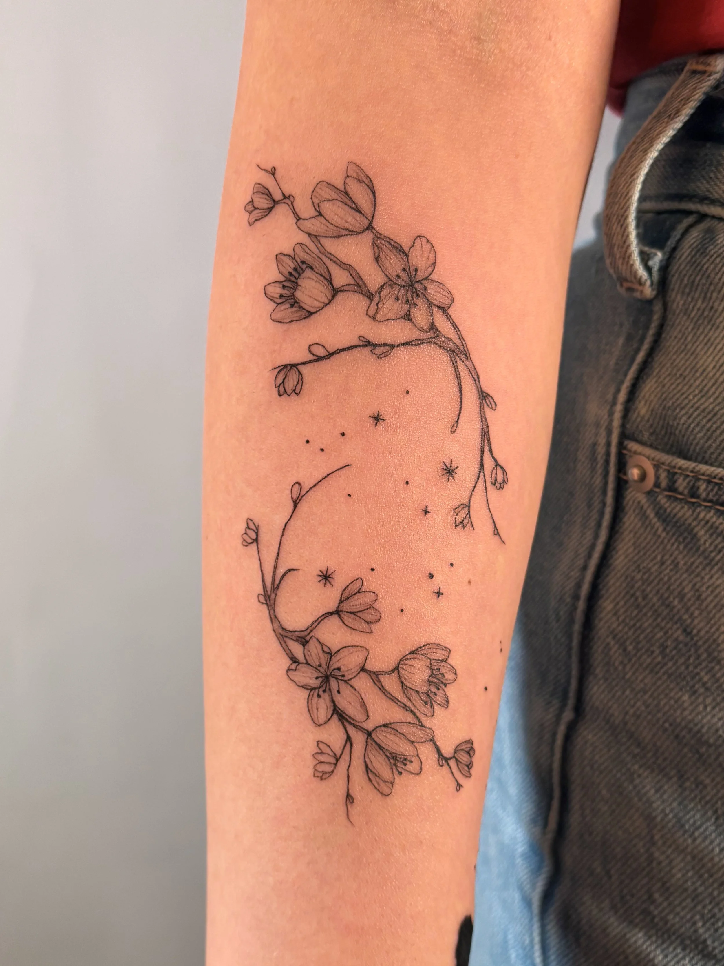 Emily Roth Arts, LLC.