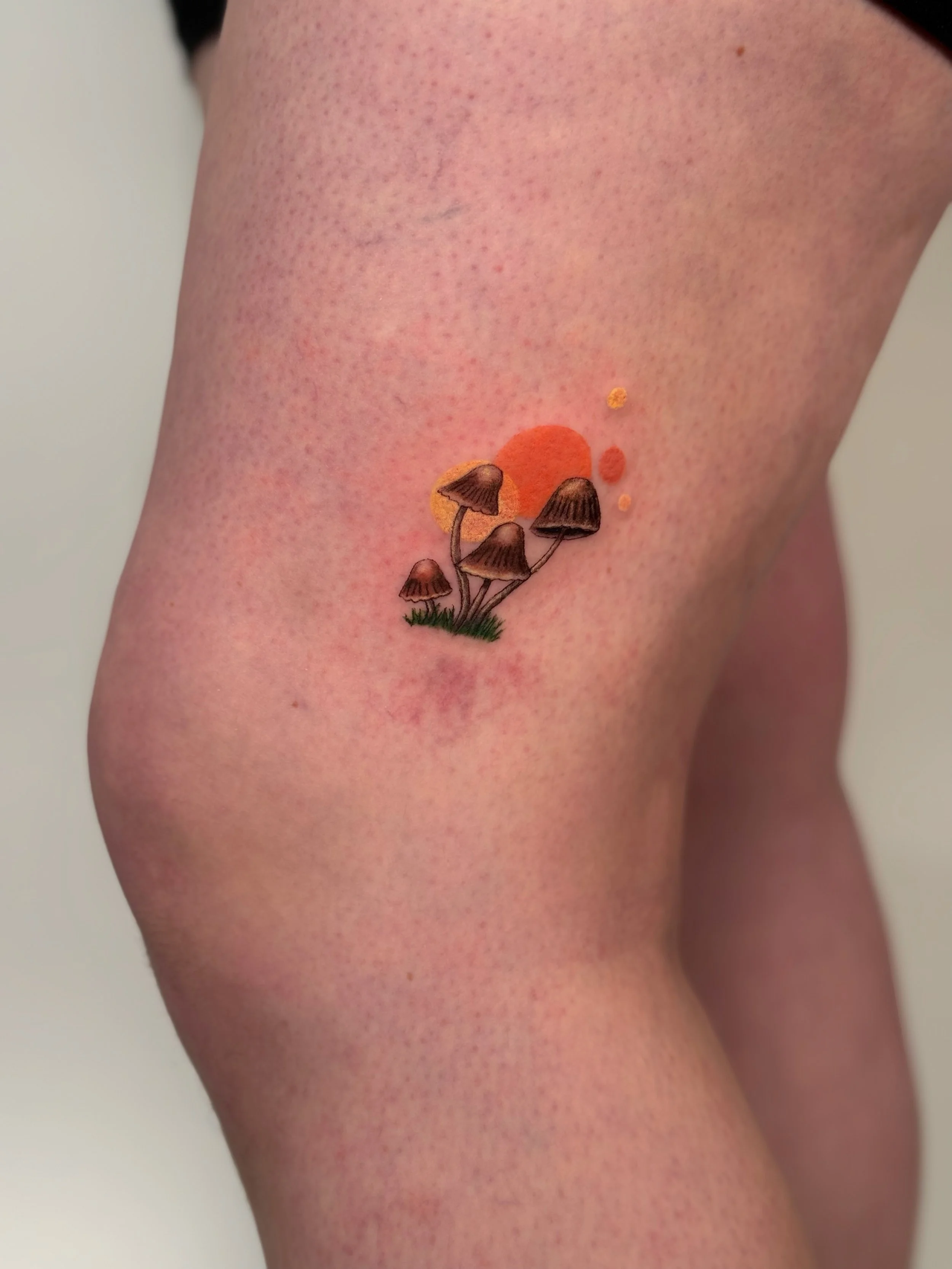 Emily Roth Arts, LLC.