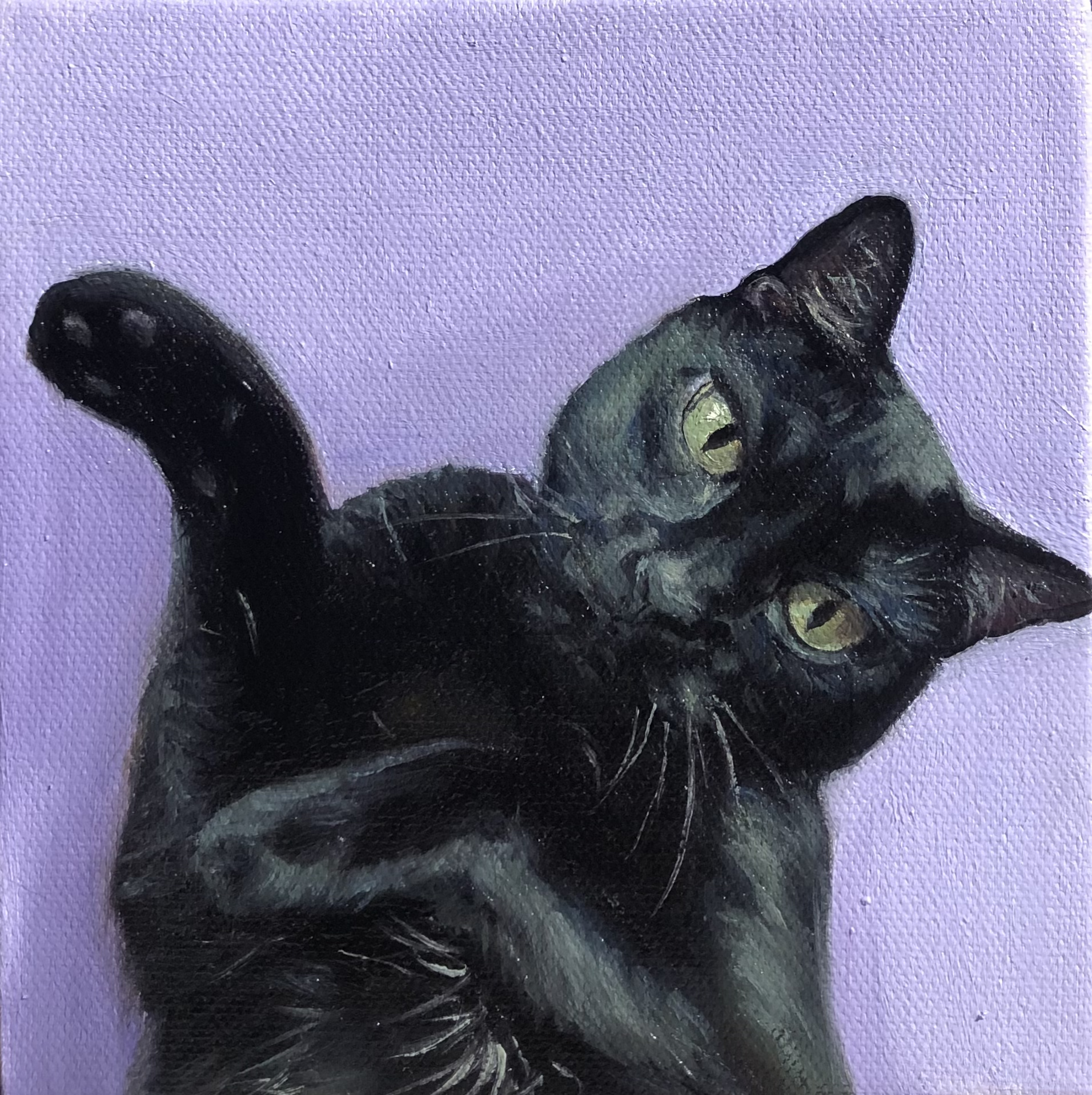 Sally, 2023, oil on canvas, 6x6"
Commissioned Pet Painting
Emily Roth Arts, LLC.