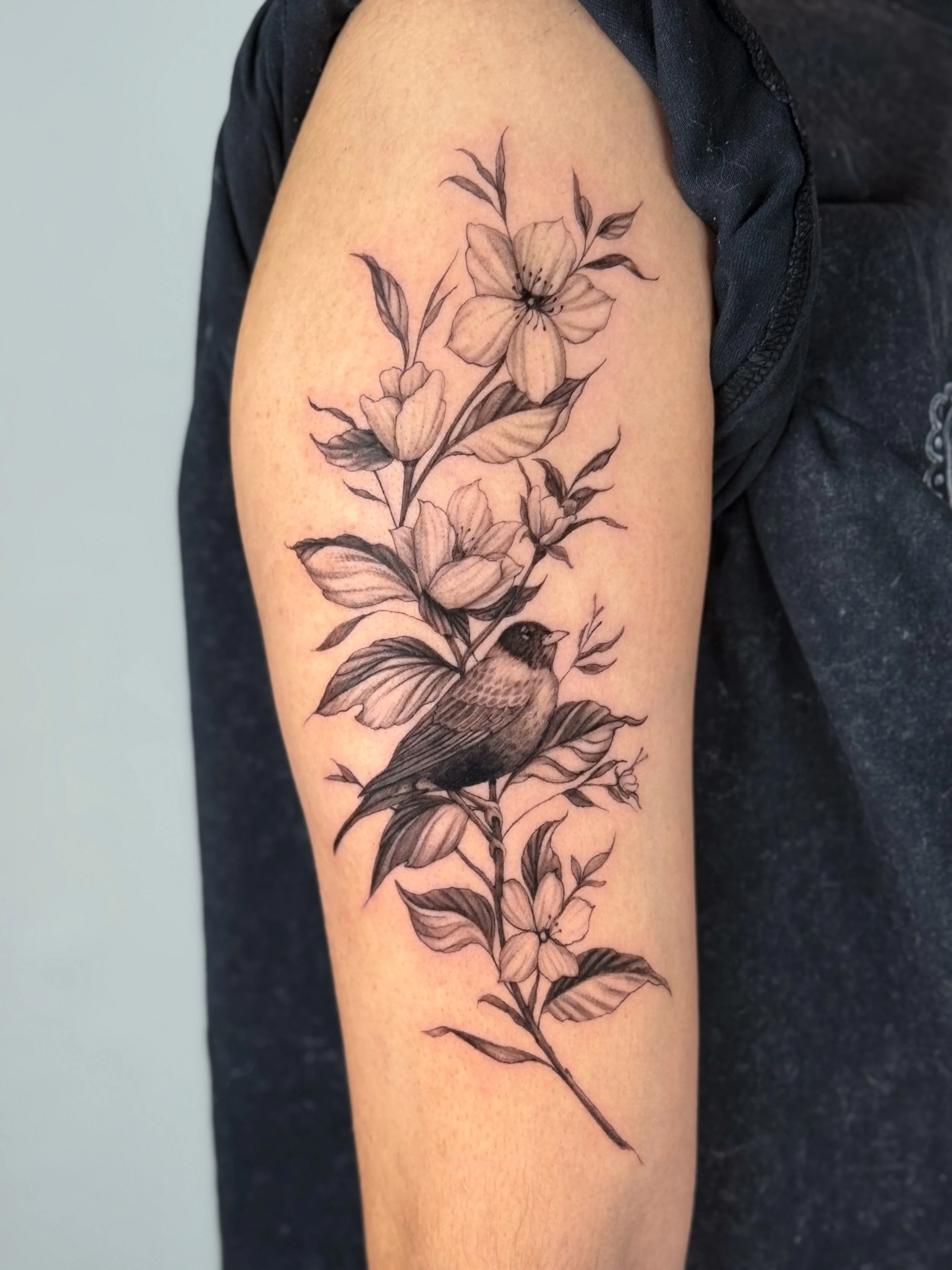 Emily Roth Arts, LLC.