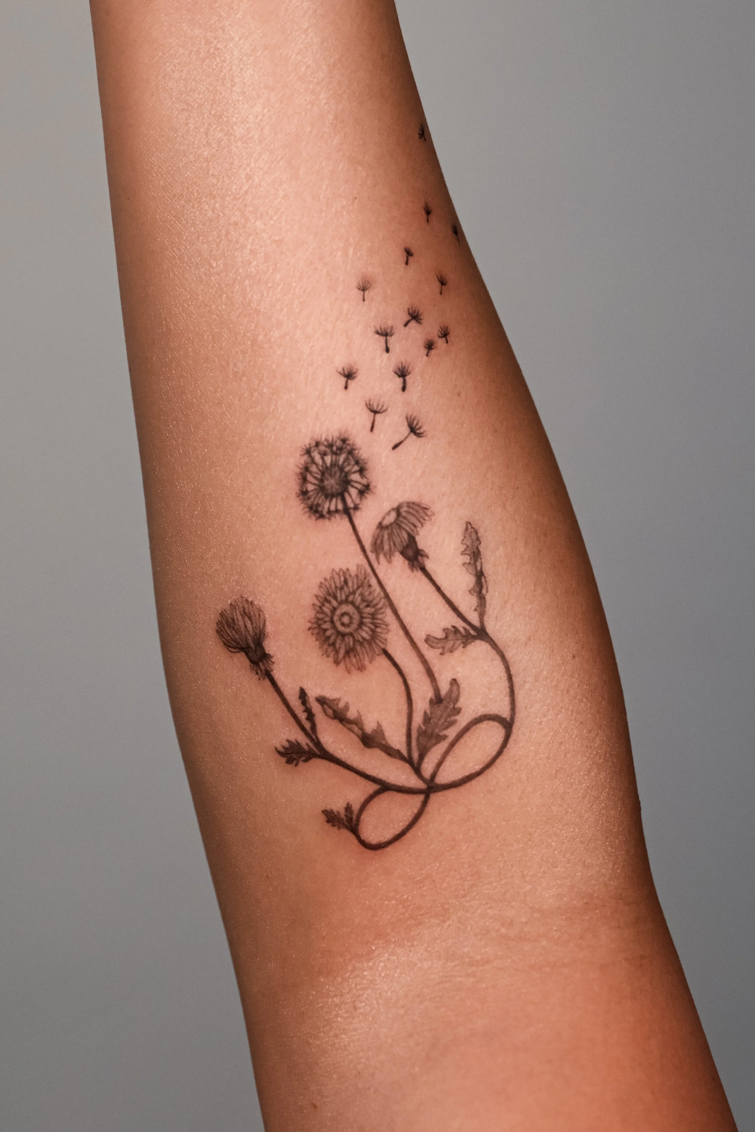 Emily Roth Arts, LLC.