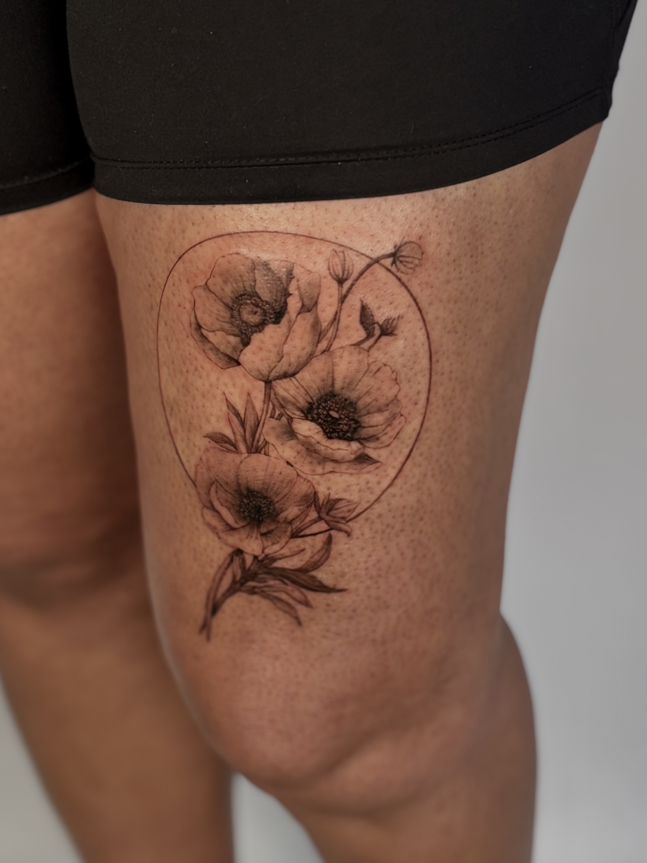 Emily Roth Arts, LLC