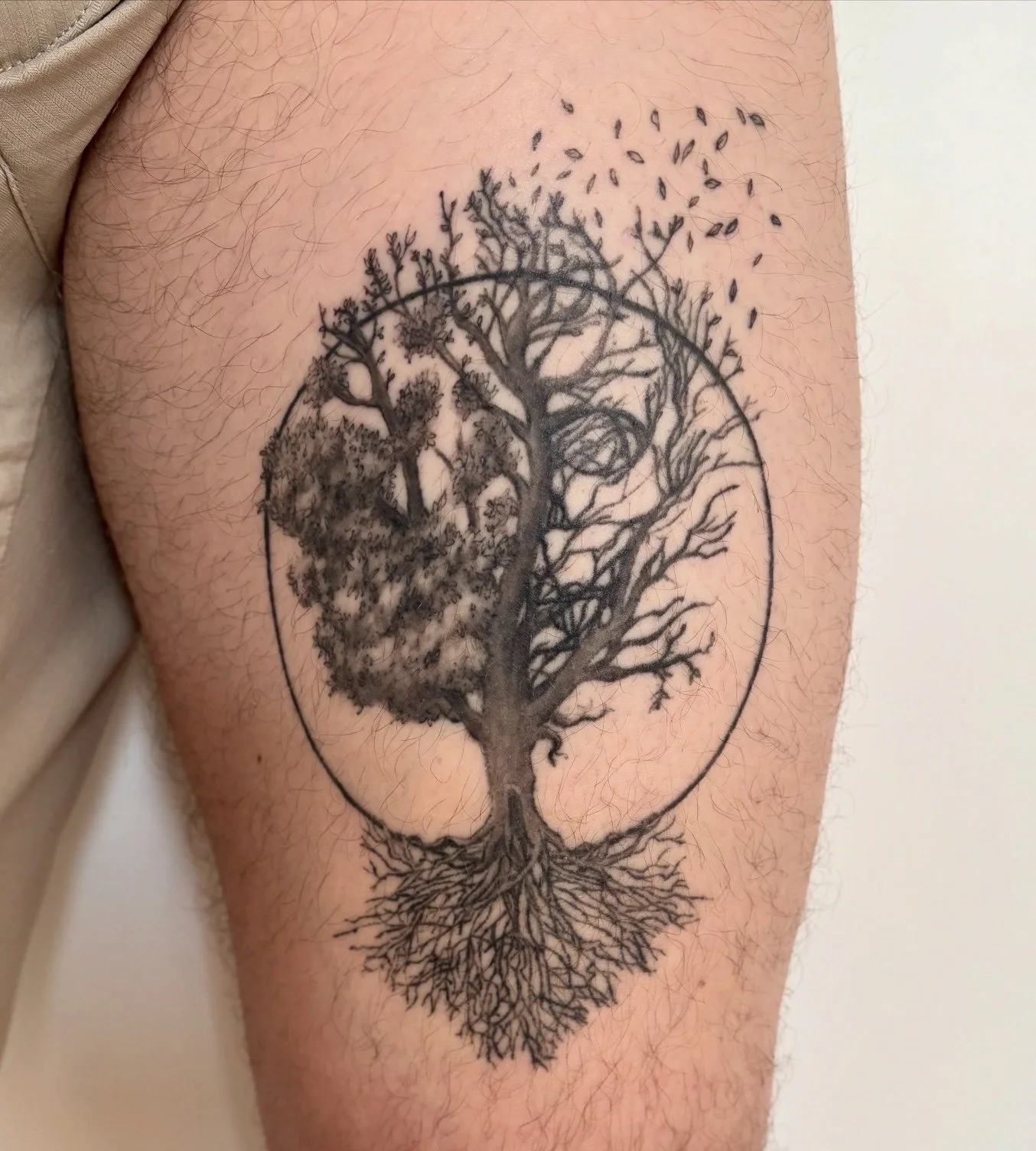 Emily Roth Arts, LLC.