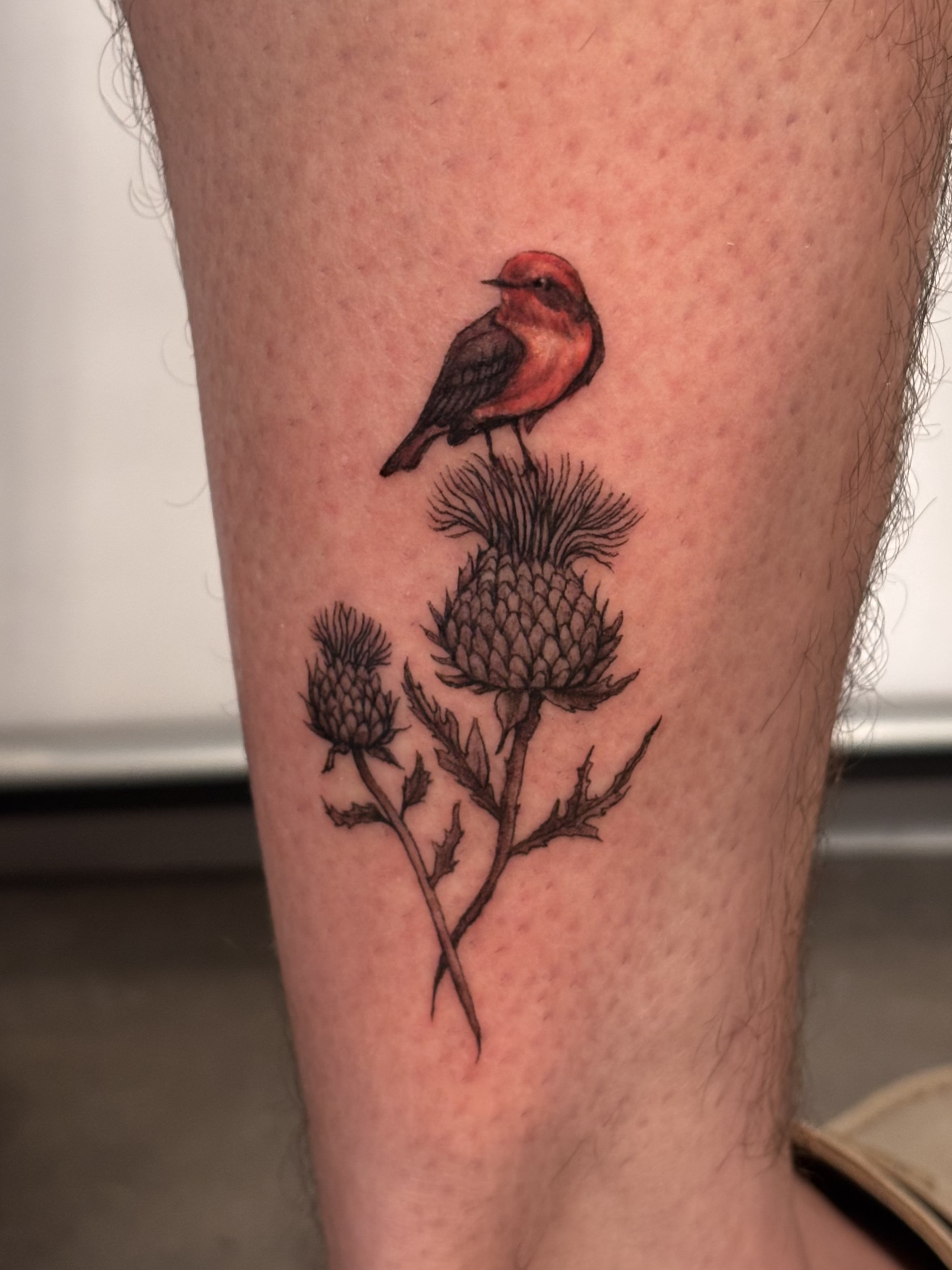 Emily Roth Arts, LLC.