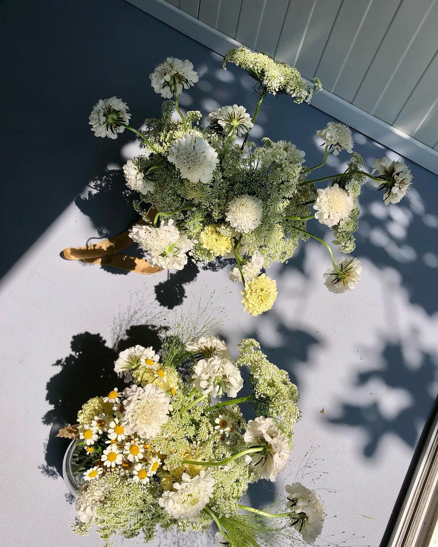 Fluffy bouquets forever 🫶
Hampshire grown scabiosa, Queen Anne&rsquo;s lace and daisies 🌼
.
.
.
.

#minimalistwedding #sussexflorist #londonflorist #floralstories #sussexwedding #stylingtheseasons #flowerstudio #sussexweddingflorist #weddinginspira