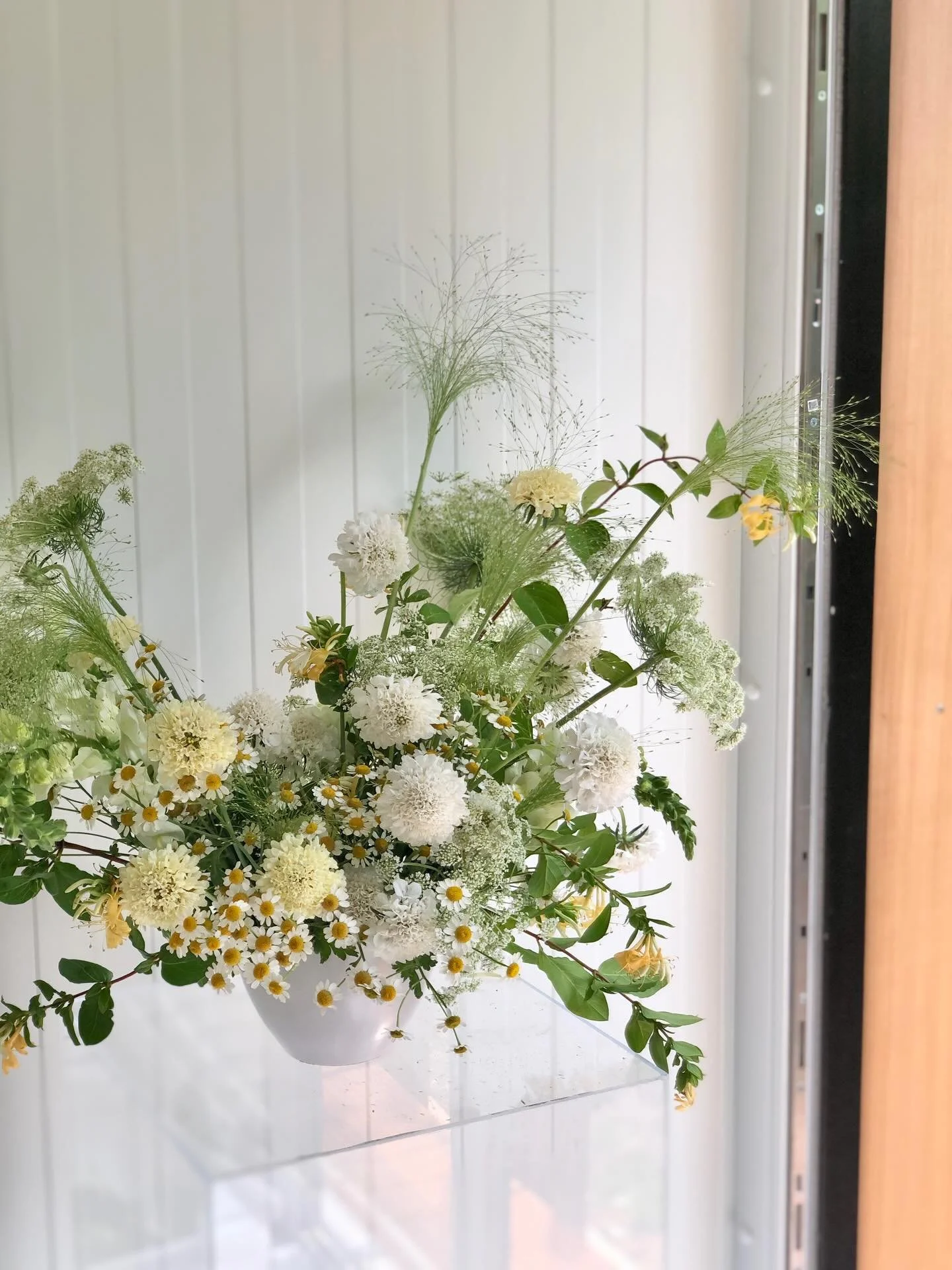 Spring has arrived 🌾 🌼