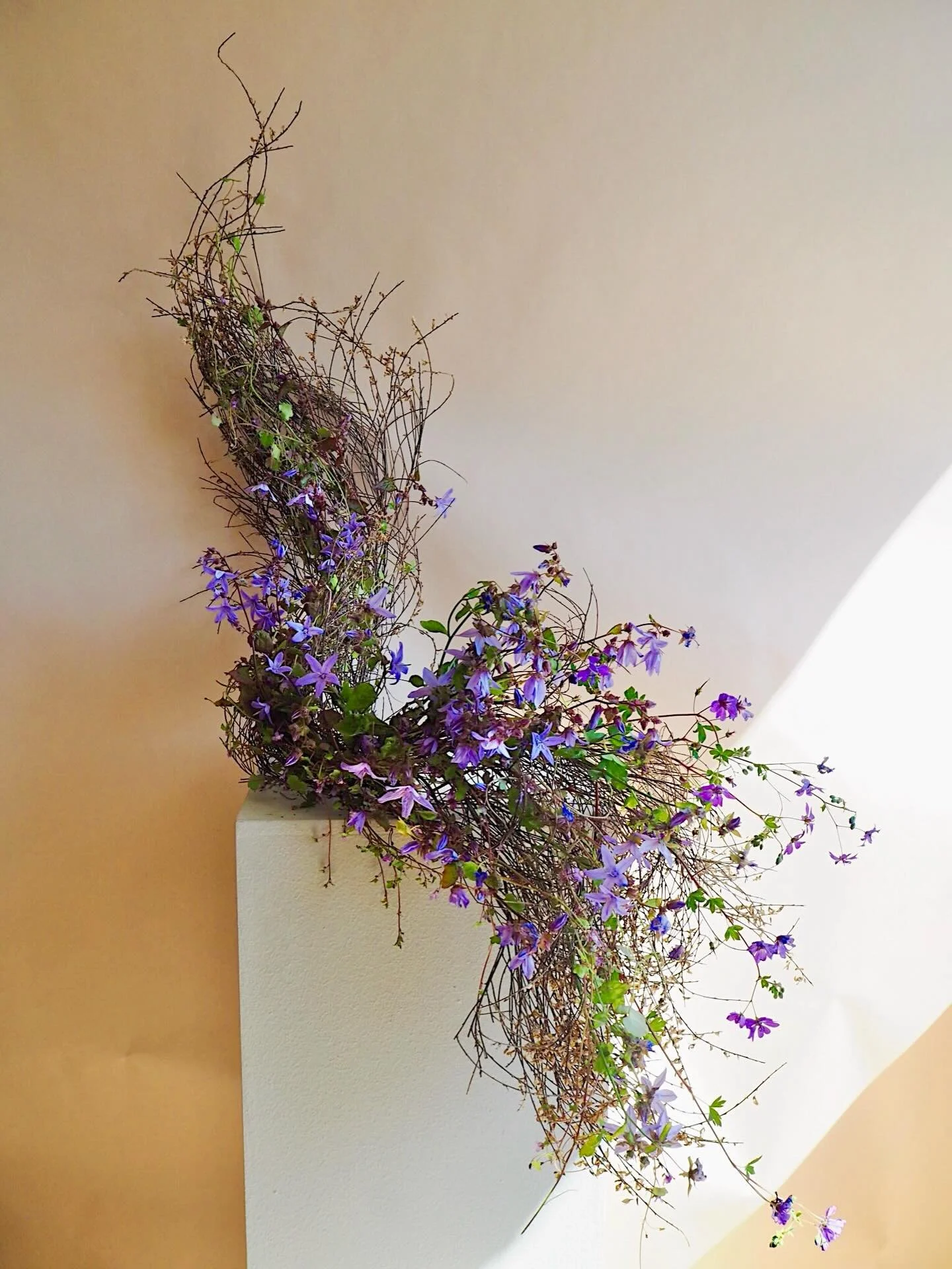 Love an architectural floral moment 💜
#mayeshfloristryisart #floristryisart #sussexweddingflorist #lilacflowers #floralinstallation