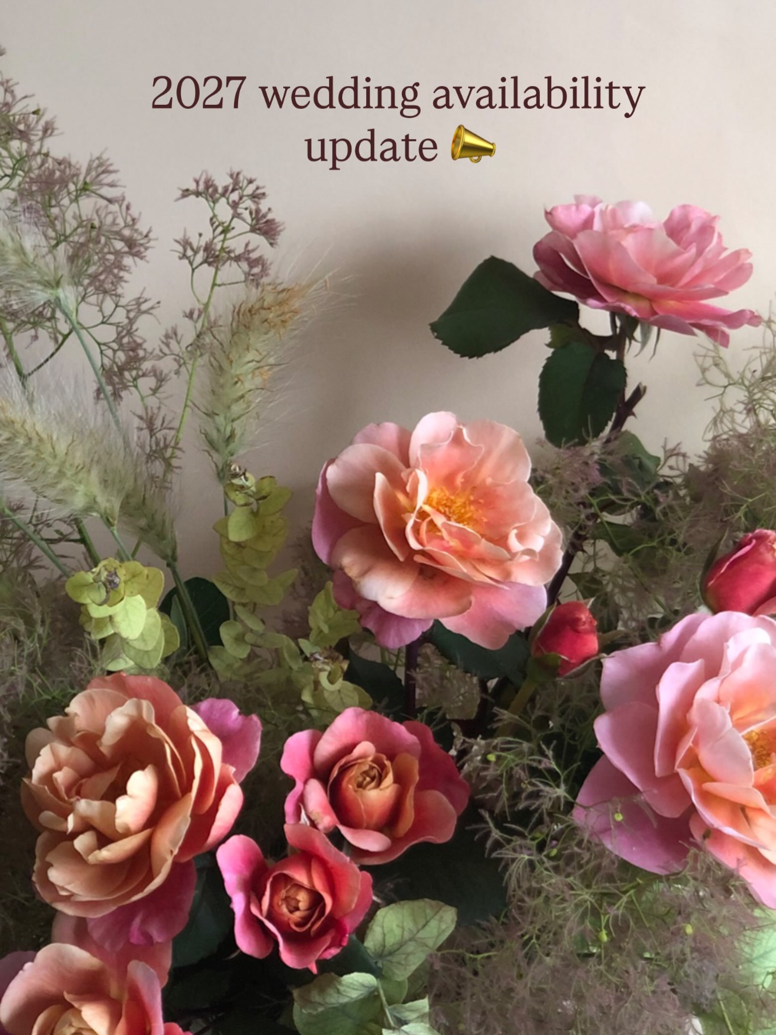 2027 availability 📣 

Wedding season for next year is almost fully booked which is just 🙌 

June, September and October are all fully booked and August has one space remaining 🫶

A little availability in spring and July currently, and if you&rsquo