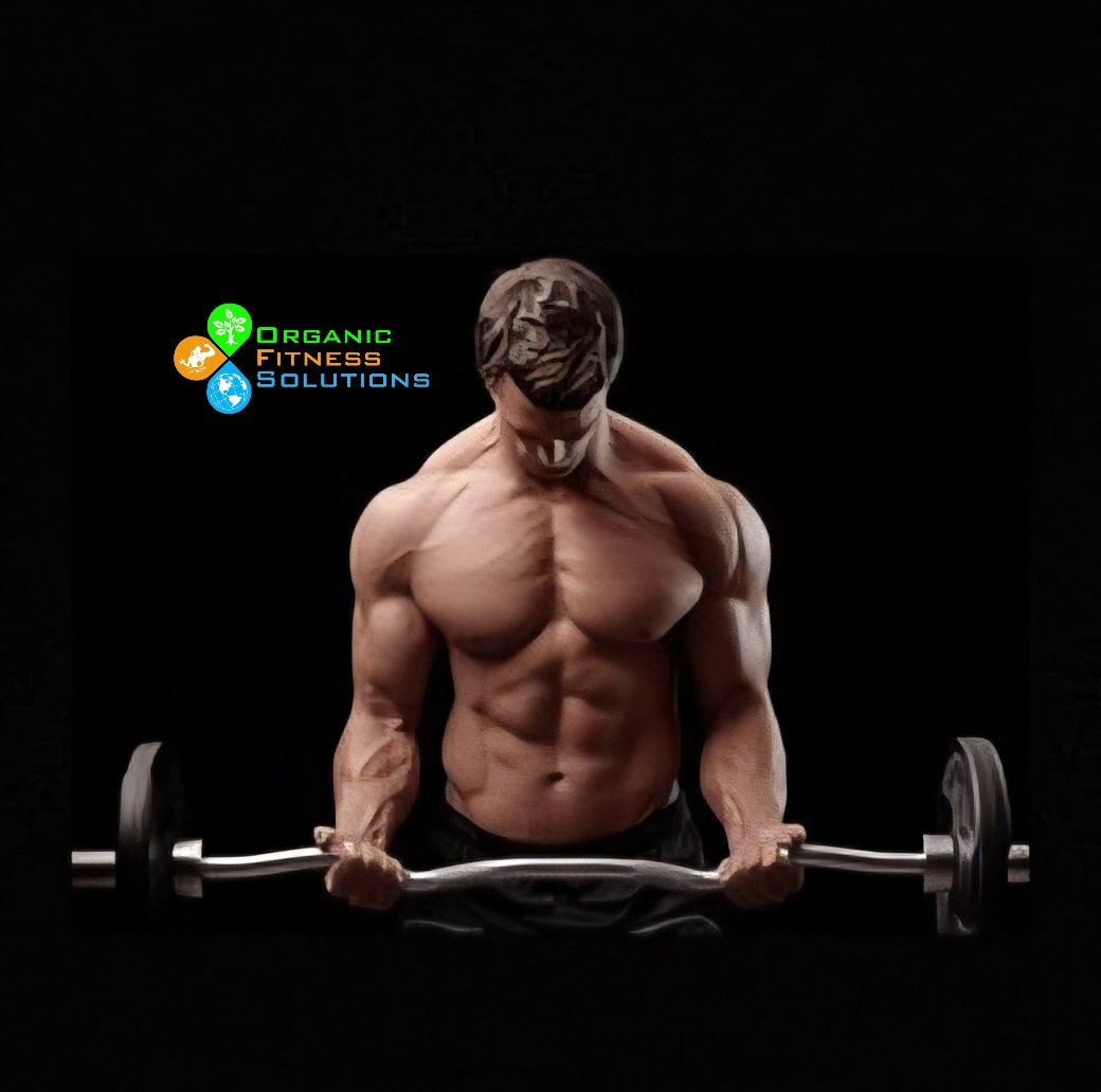 gym-workout-bodybuilding-260nw-2586145773 (1).jpg