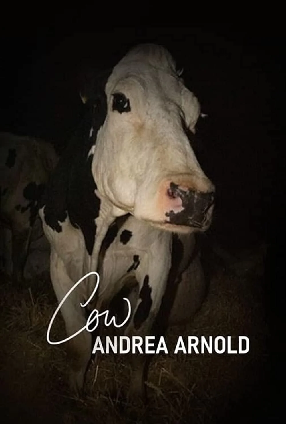 CANNES 2021 Premiere Reviews - "Cow"