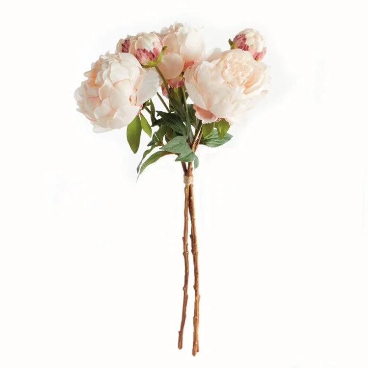 Peony Bundle Light Coral.jpg