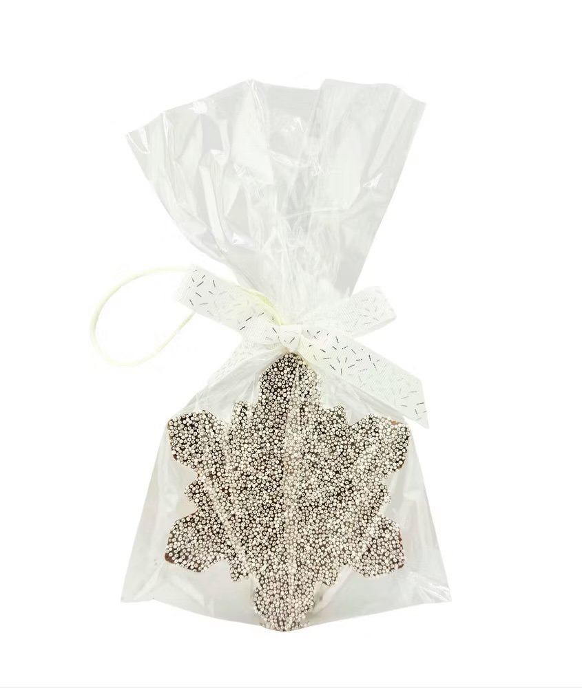 Silver Snowflake.jpeg