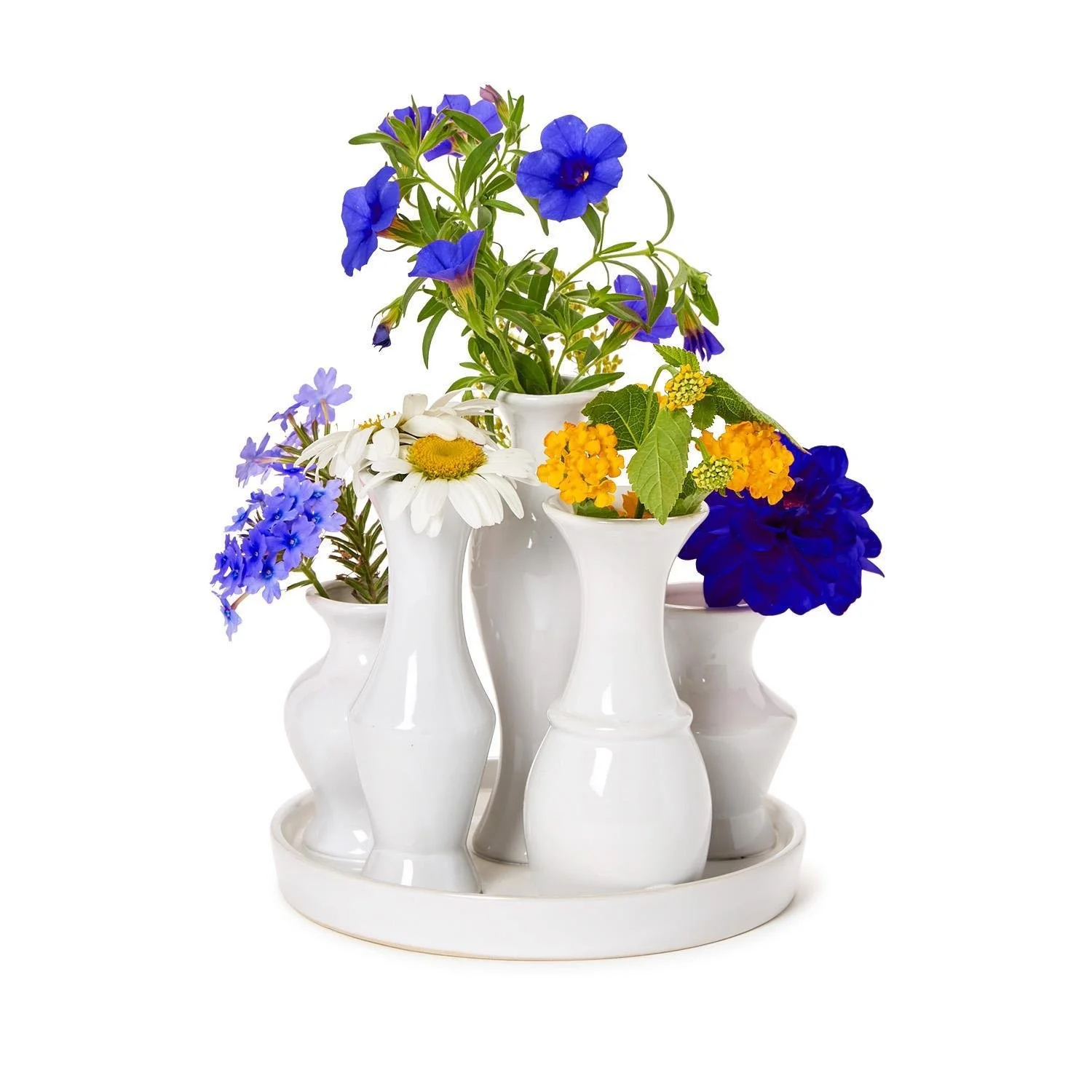Symphony Round Multi Bud Vase With/6 Sections