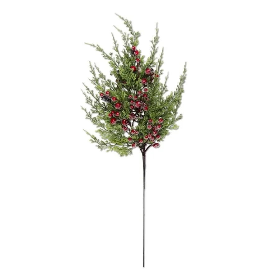 Cypress Pine and Berry Stem 27".jpeg