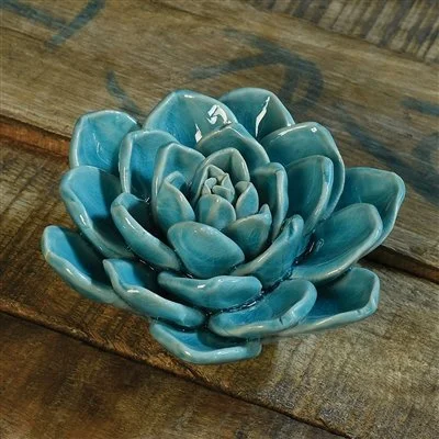 Succulent Teal Green2.jpeg